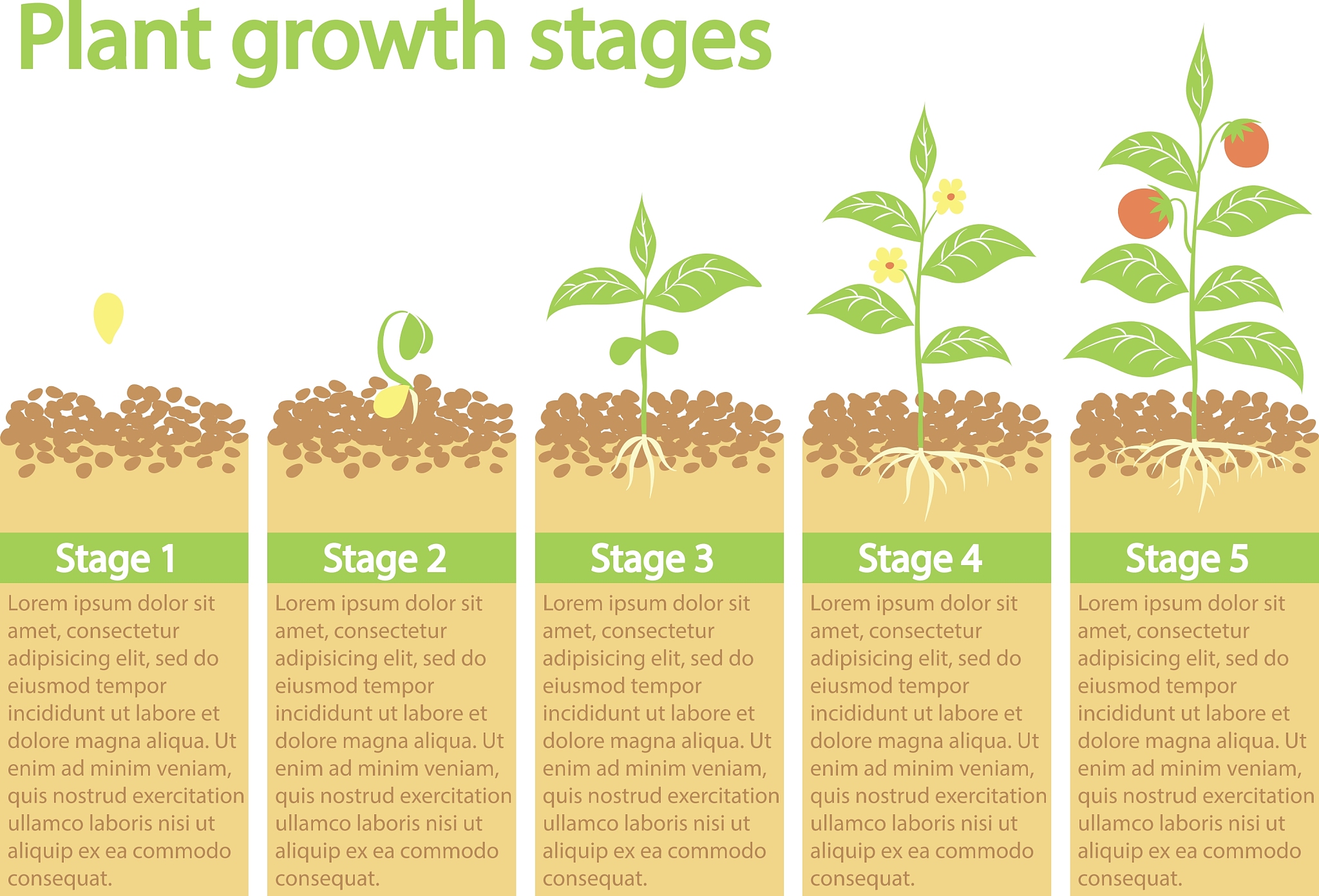 再详细一些 把实验设计和步骤、讨论都详细说
