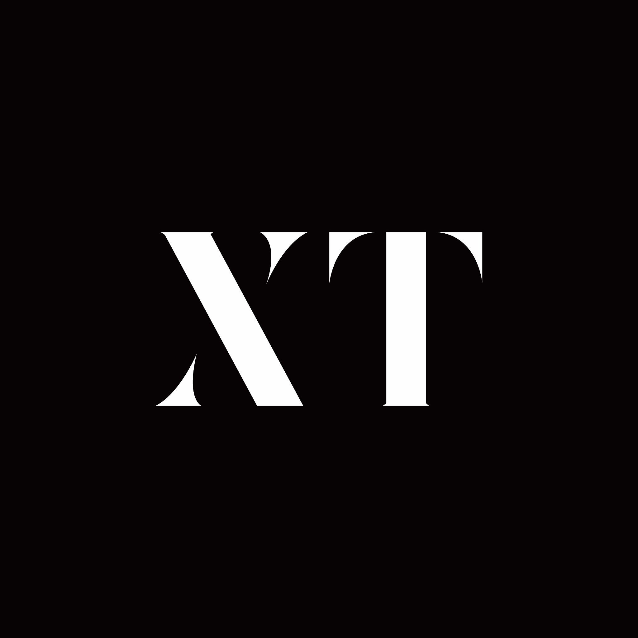 xt logo letter initial logo designs template