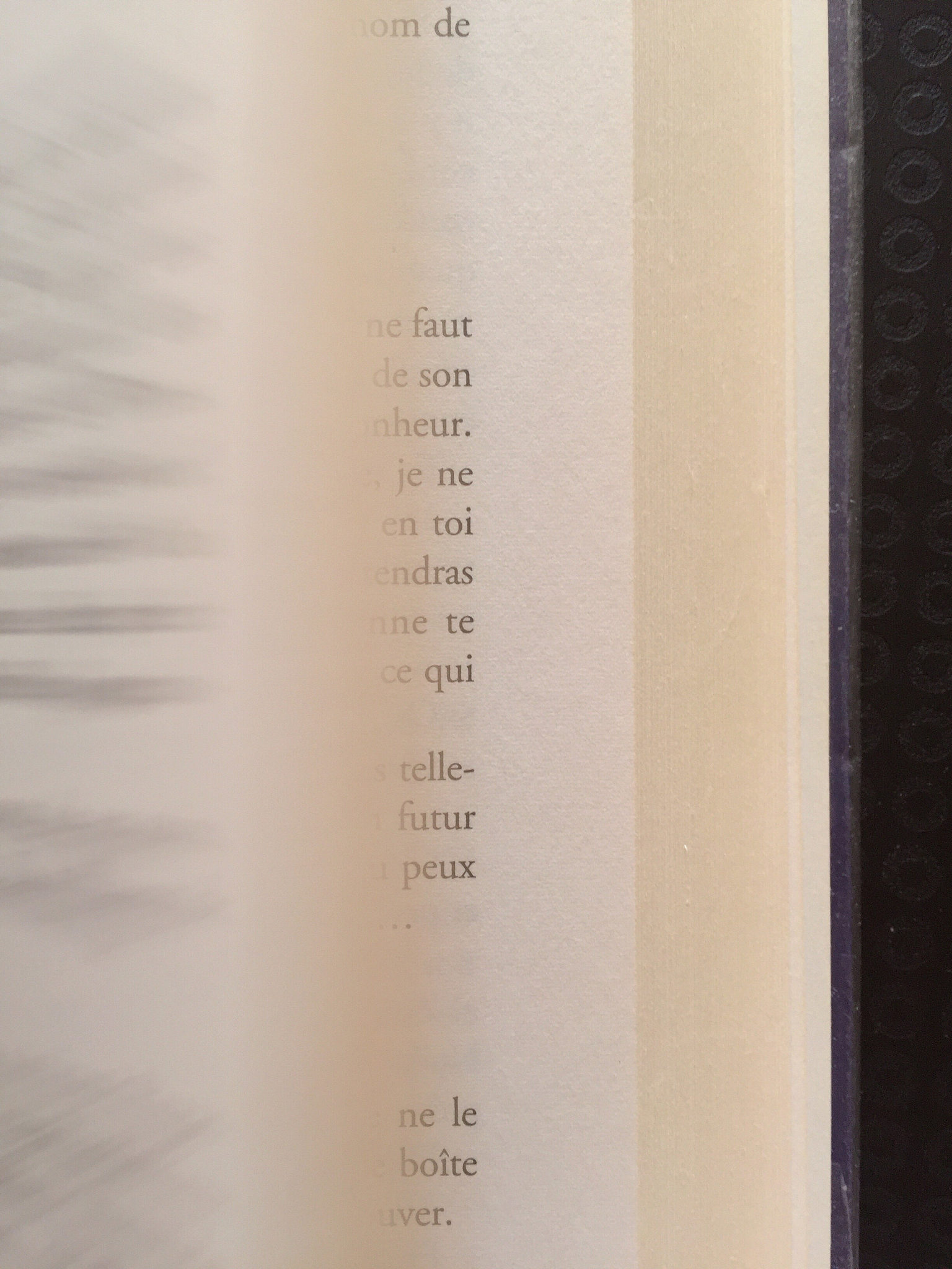 あなたへの詩 - 日本語で表現された愛と決意