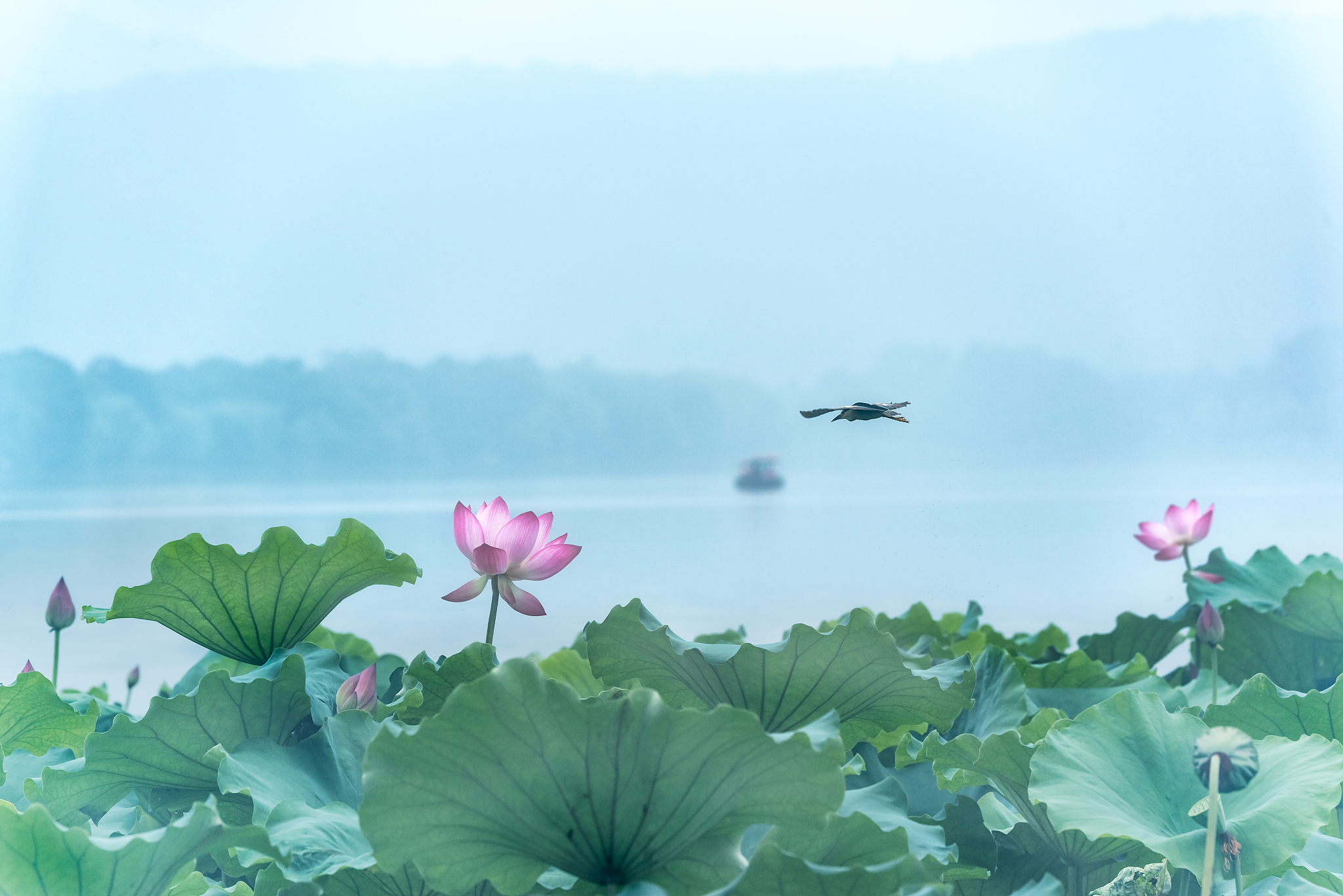 唯美插图文案：沉醉于湖光山色，感受大自然的美好