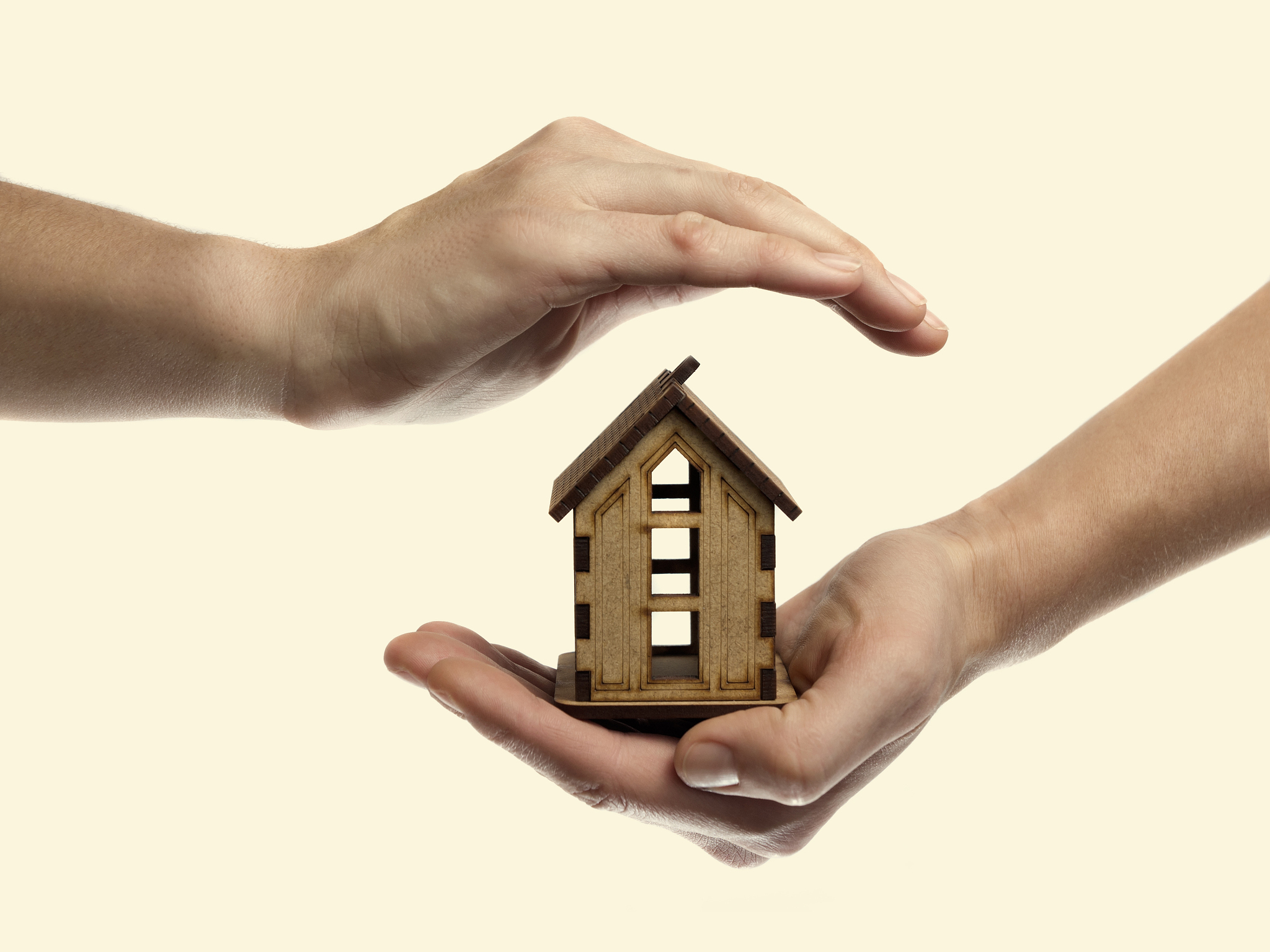 hand with house