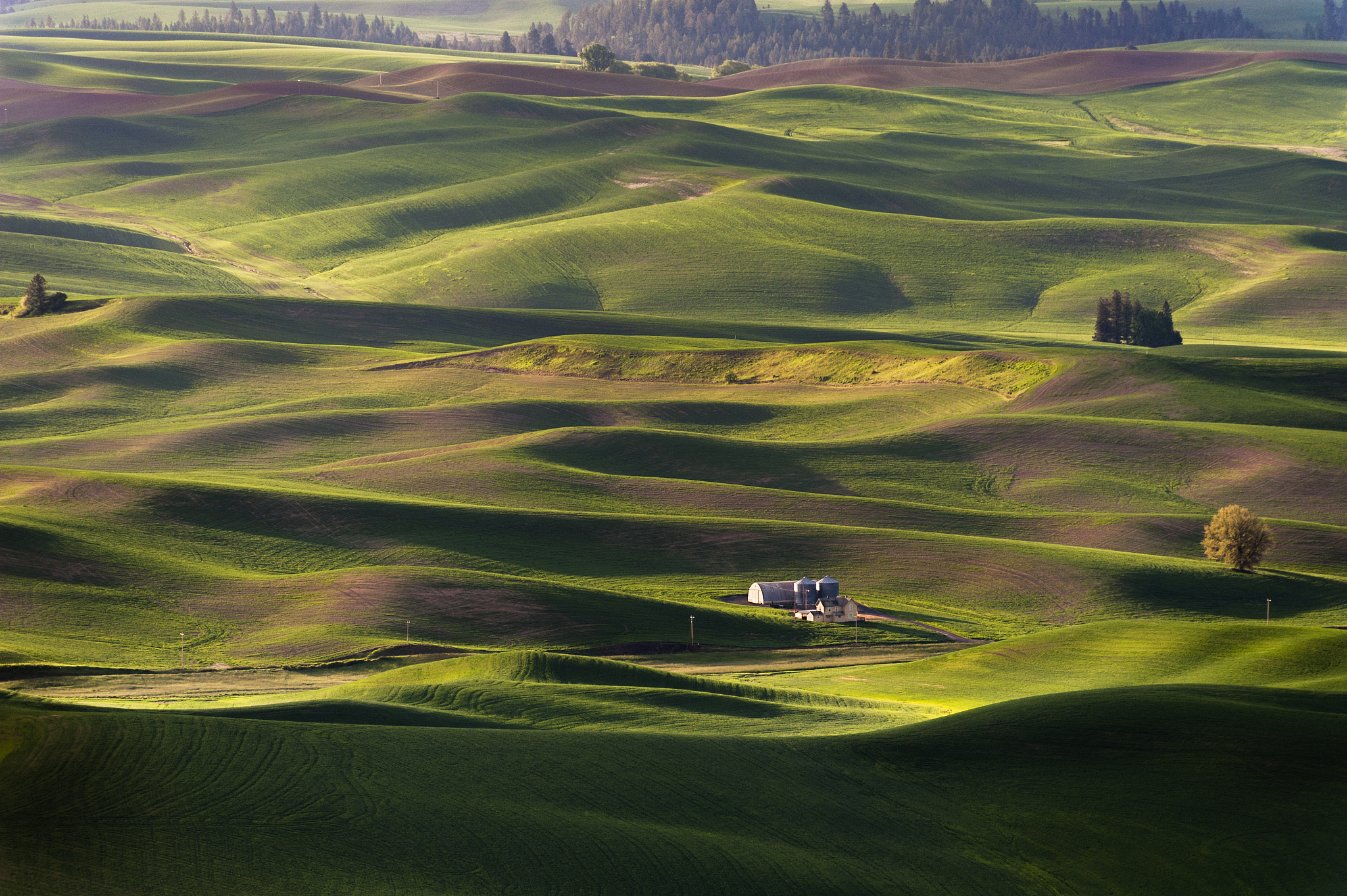 steptoe butte state park.