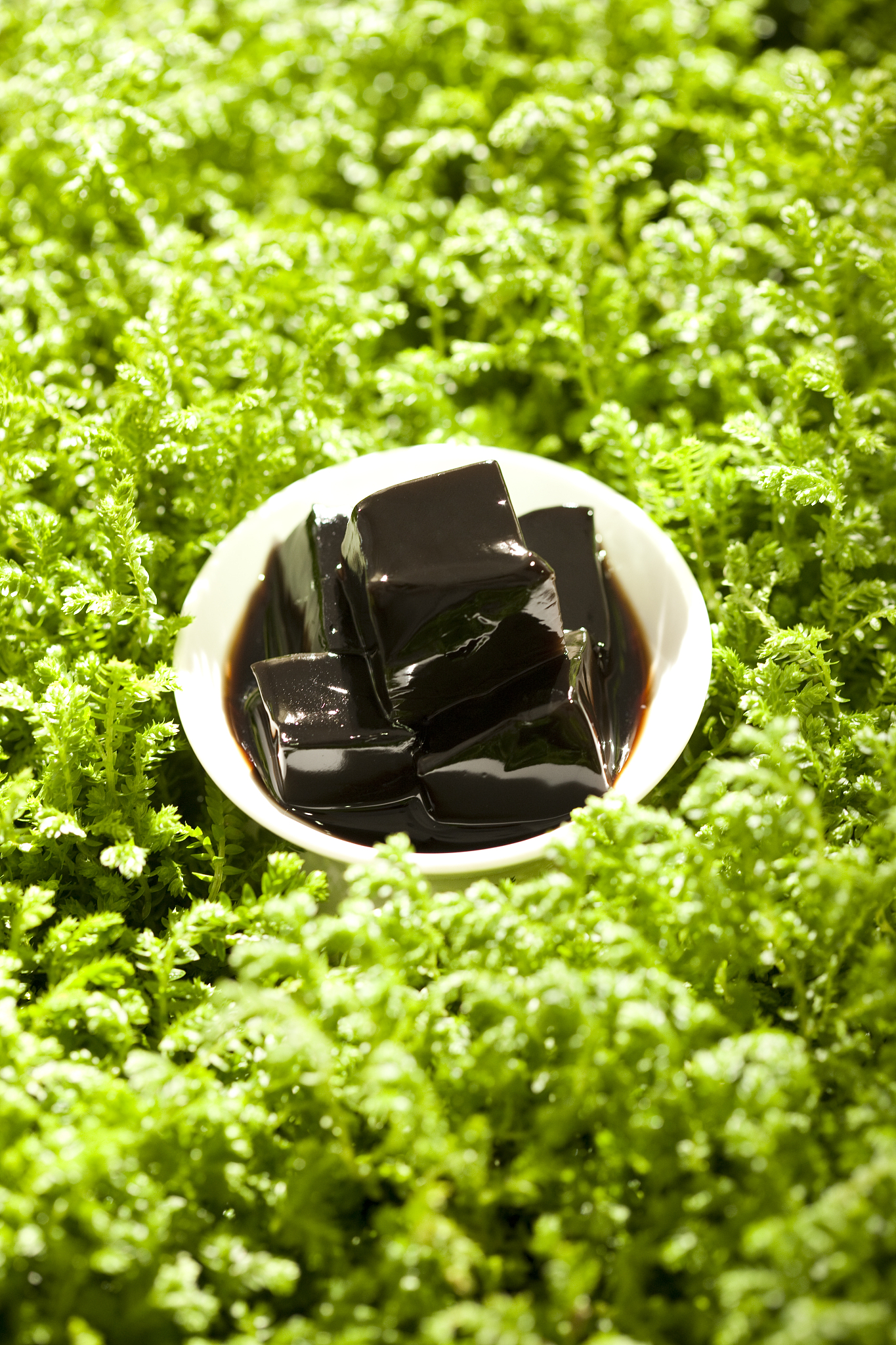 请帮我写1篇650字的博客文章主题是：烧仙草和龟苓膏的区别