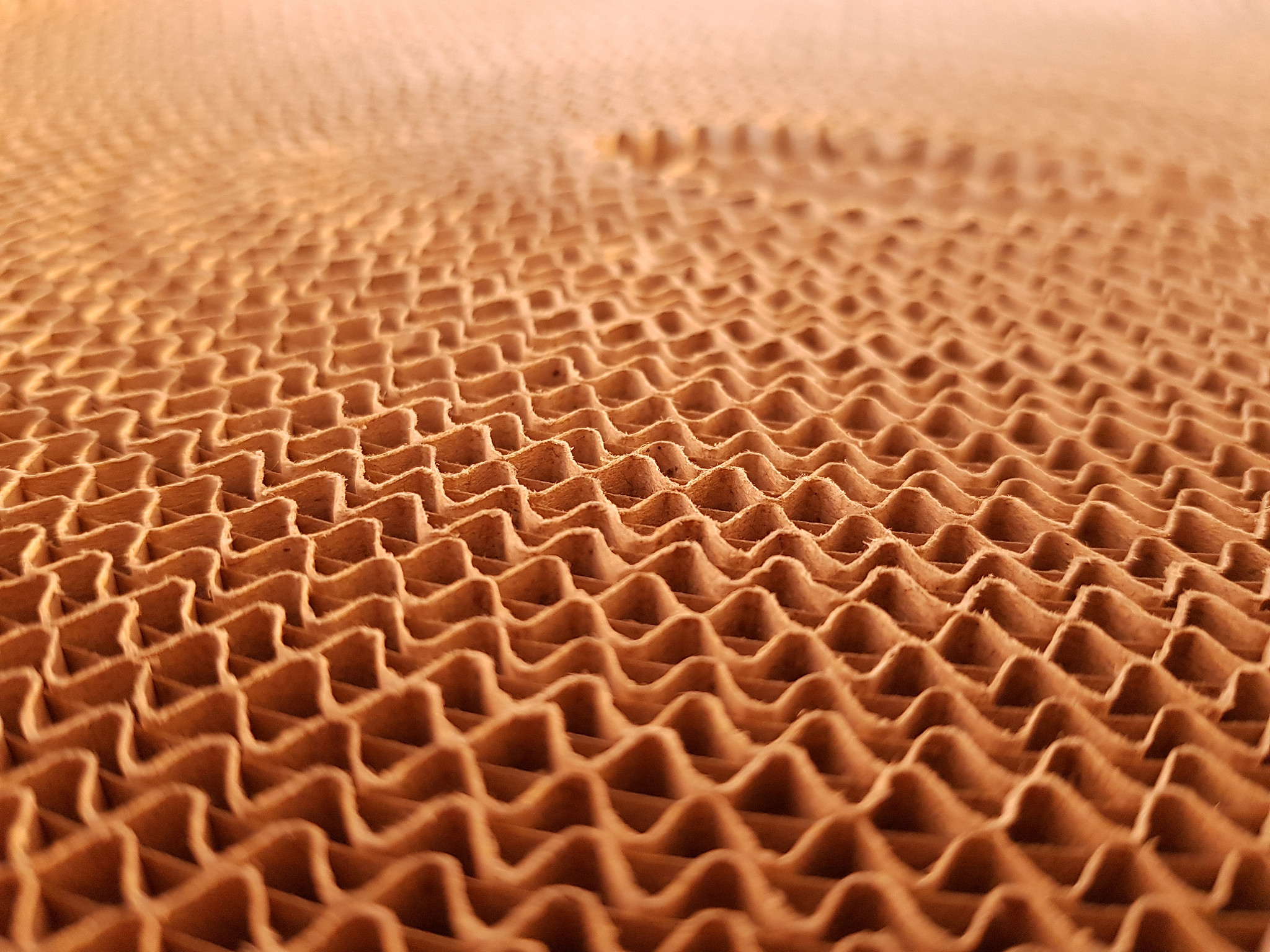 成都工业职业技术学校道路与桥梁专业怎么样？就业前景分析