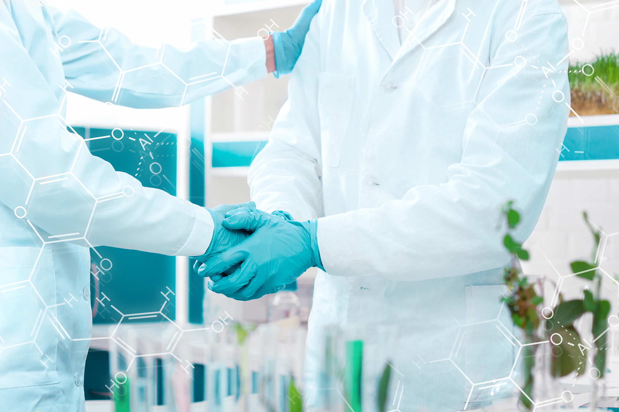 广东科学技术职业学院工商企业管理专业可以选择哪些就业方向