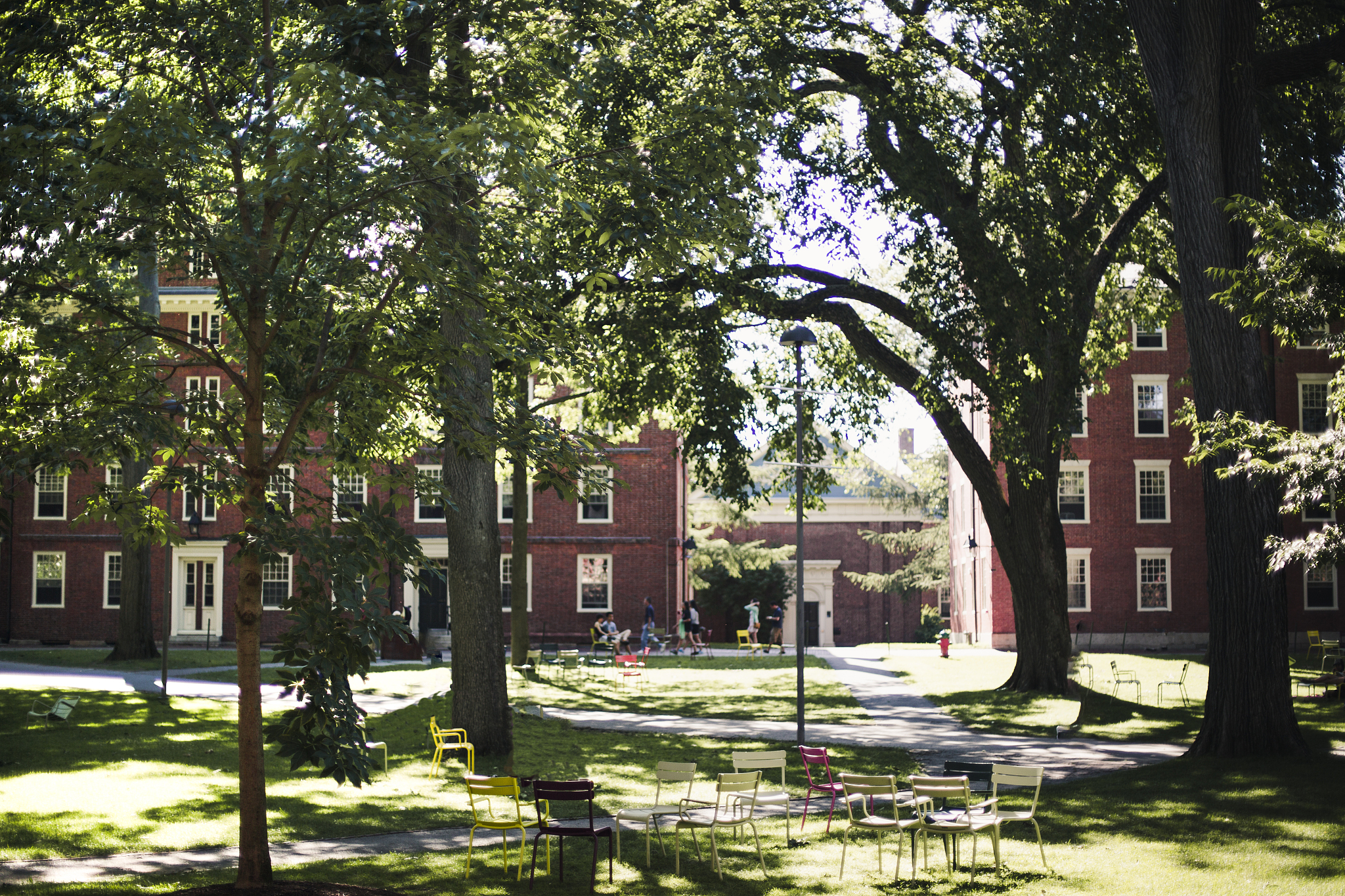 havard university campus, boston, united states