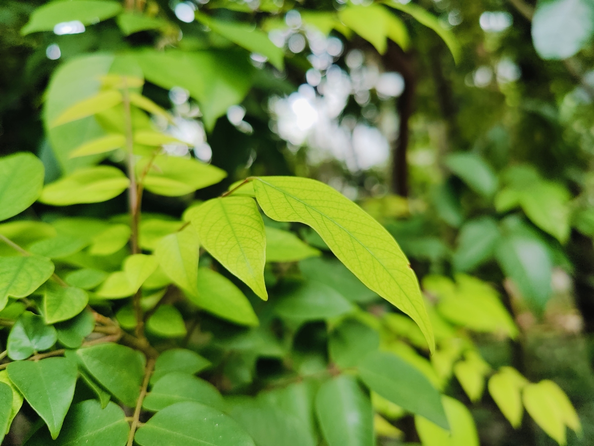 帮我想十个好的酒类饮料商标第33类商标名称三个字不能带酒字描述有清凉感最好是有反差感的