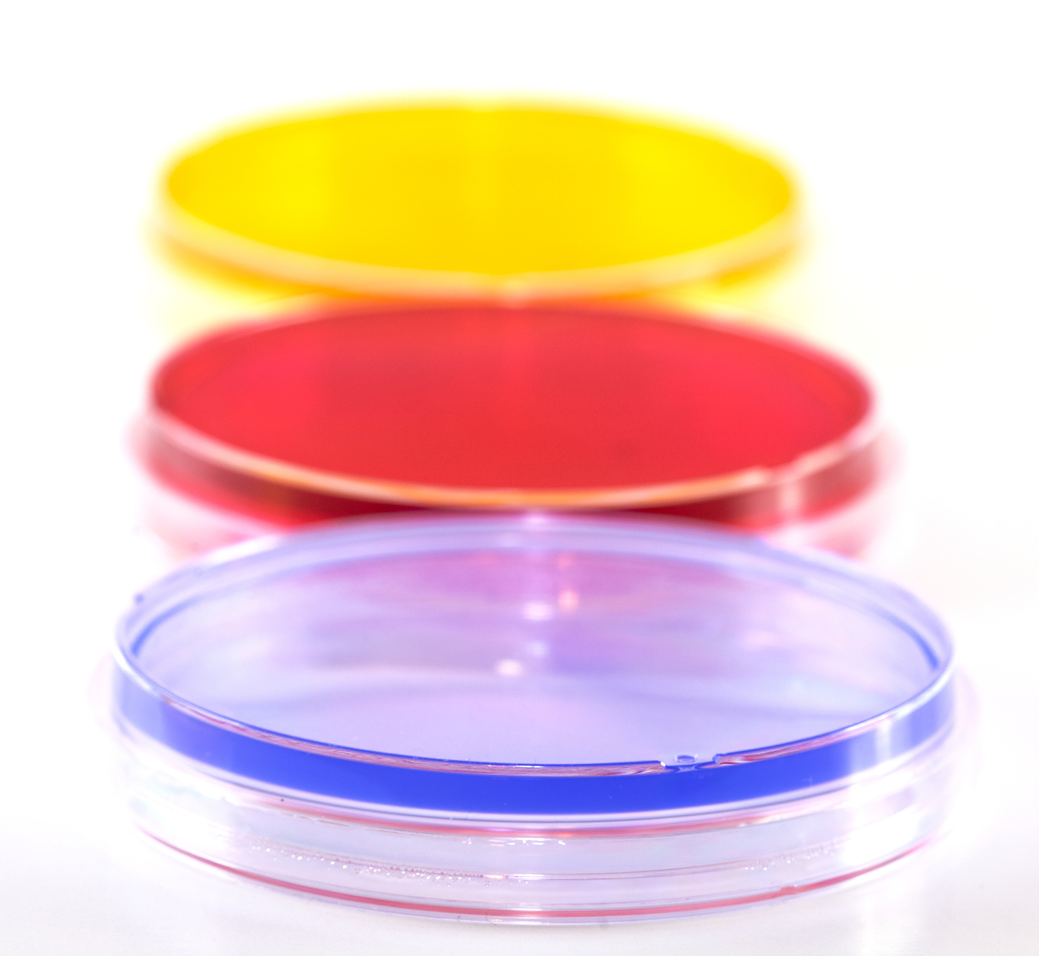 启动子区转录本亚型与AP关系研究：基因表达调控的关键