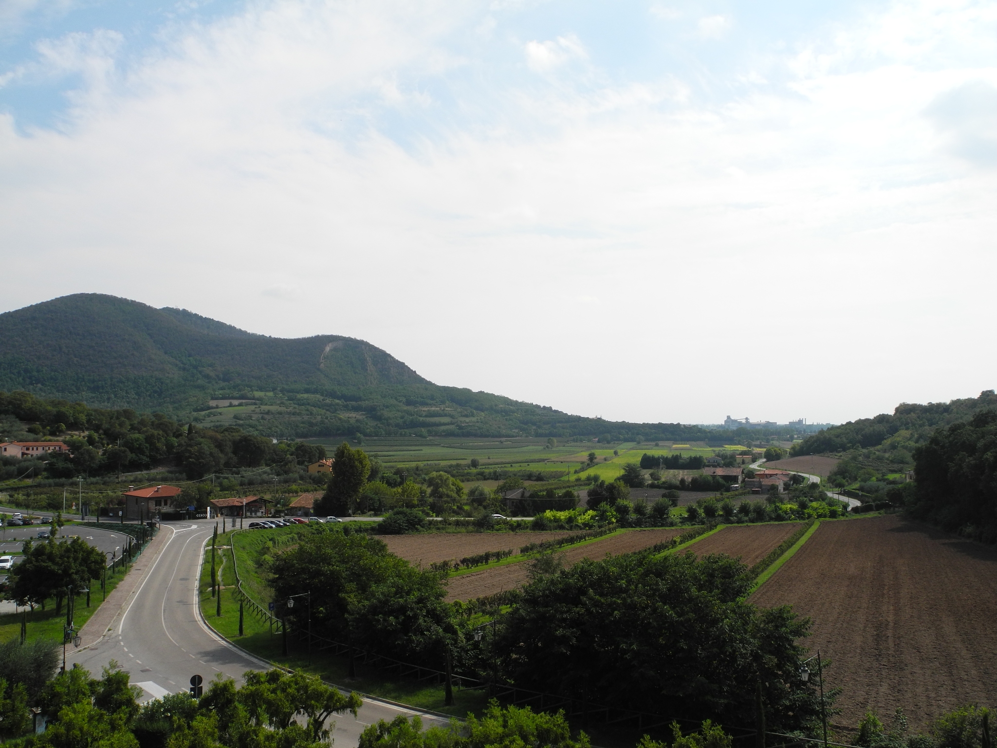Wushi village near Jinhua Zhejiang province has been attracting streams of tourists in recent weeks thanks to its emerging agri-tainment industry special farm products and picturesque scenery。该句的谓语动词是