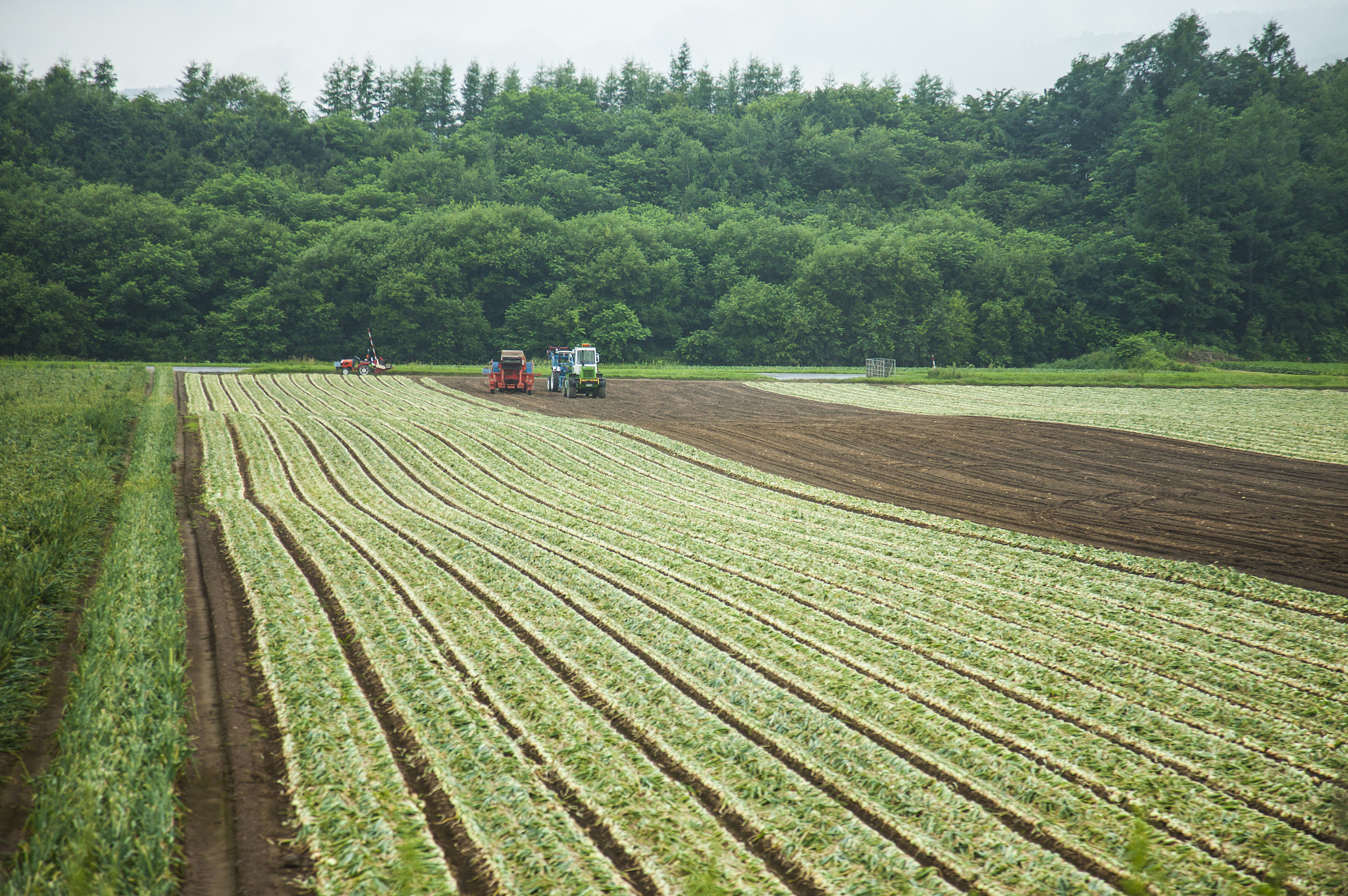 写一篇关于种植的论文