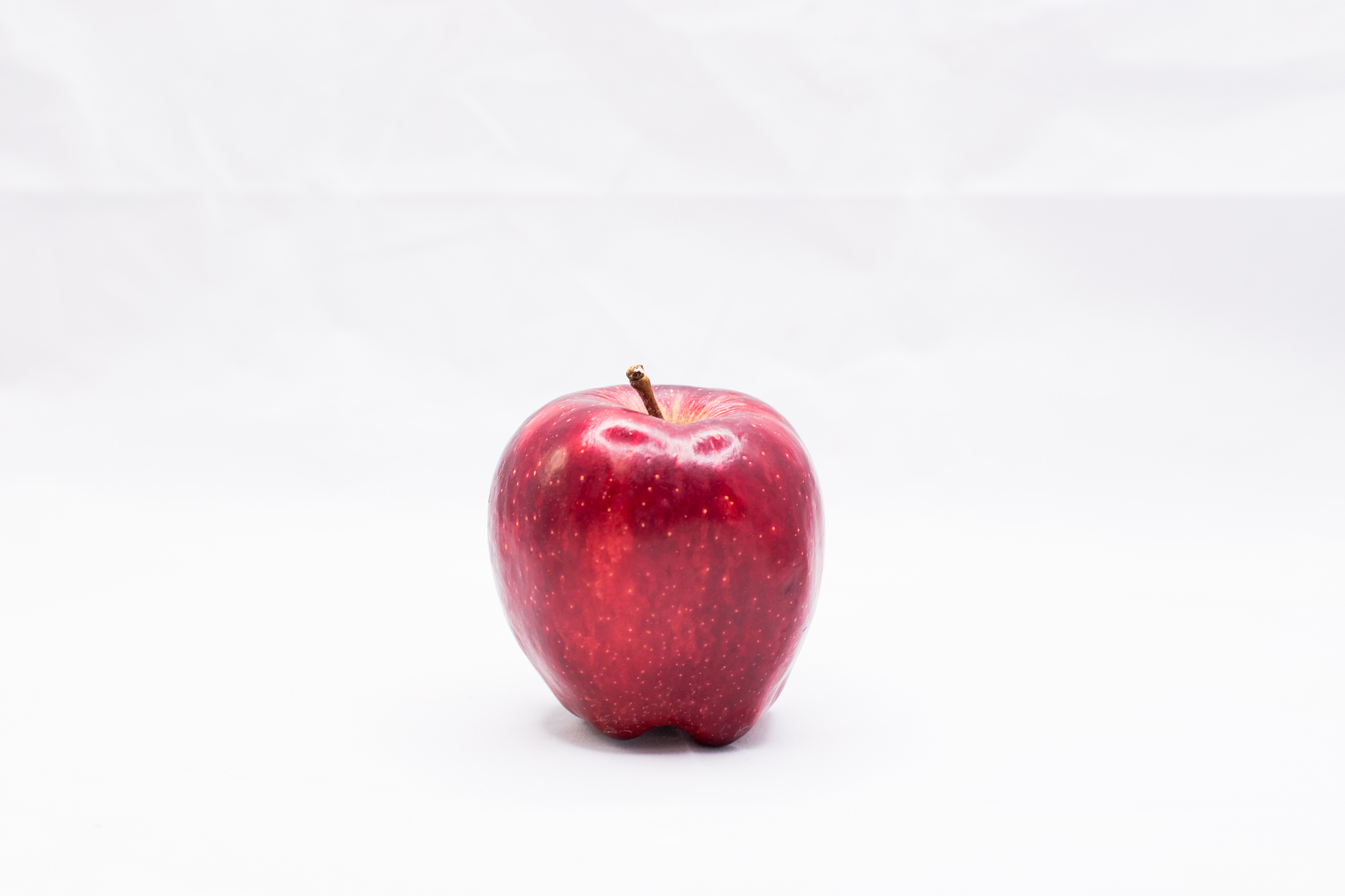 isolated apple