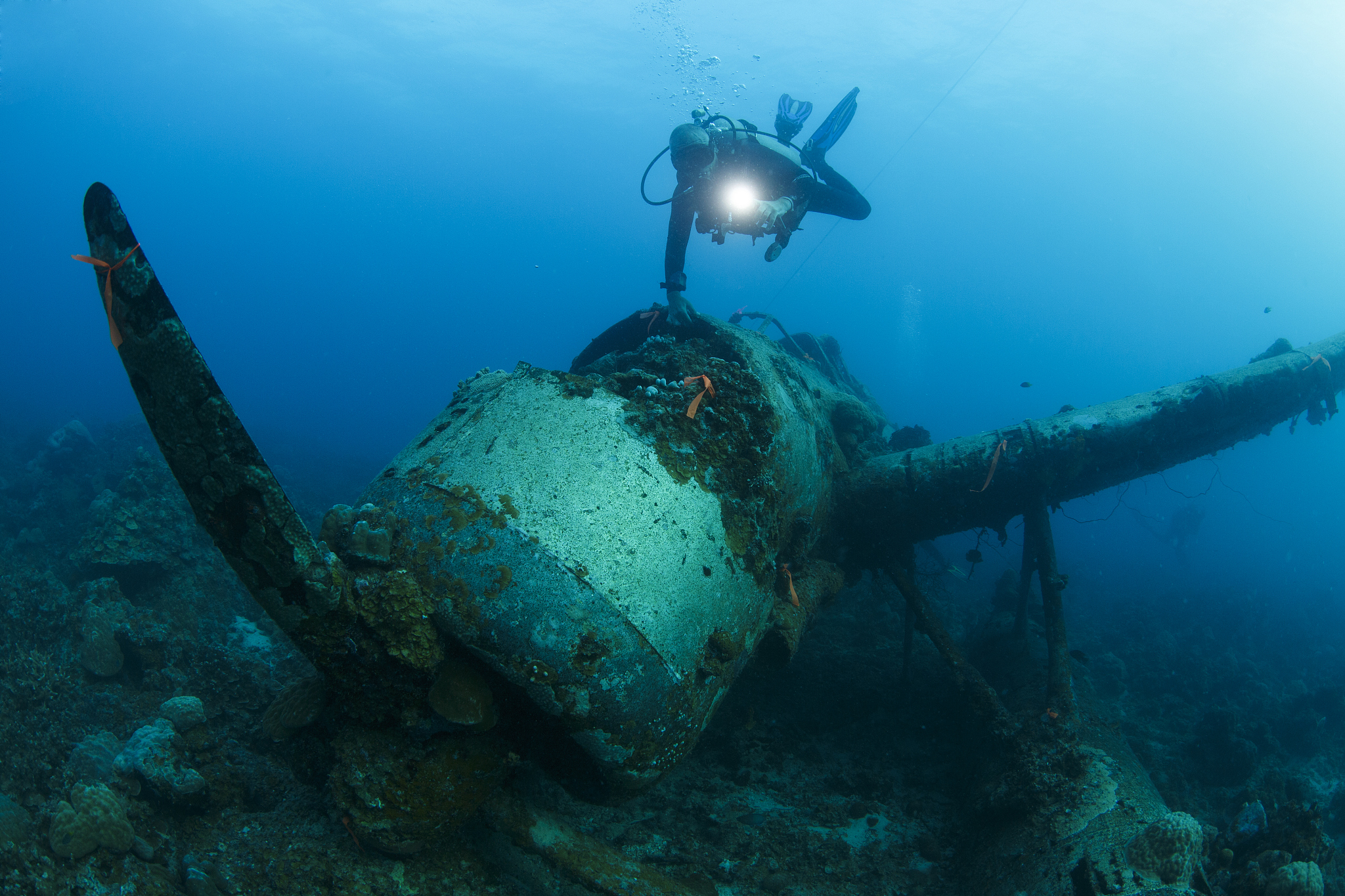 scuba diver exploring wreck of fighter plane undersea, palau, ca