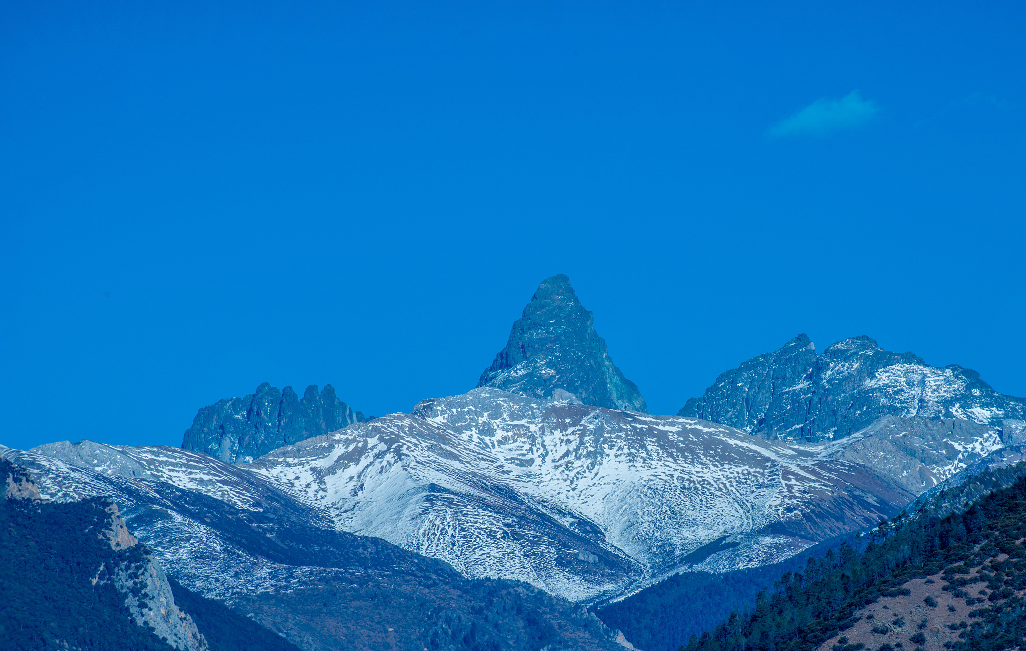 云南旅游职业学院中专部有助产专业吗