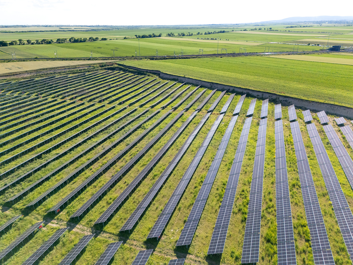菌草业：新兴生态产业，助力资源高效利用和生态保护