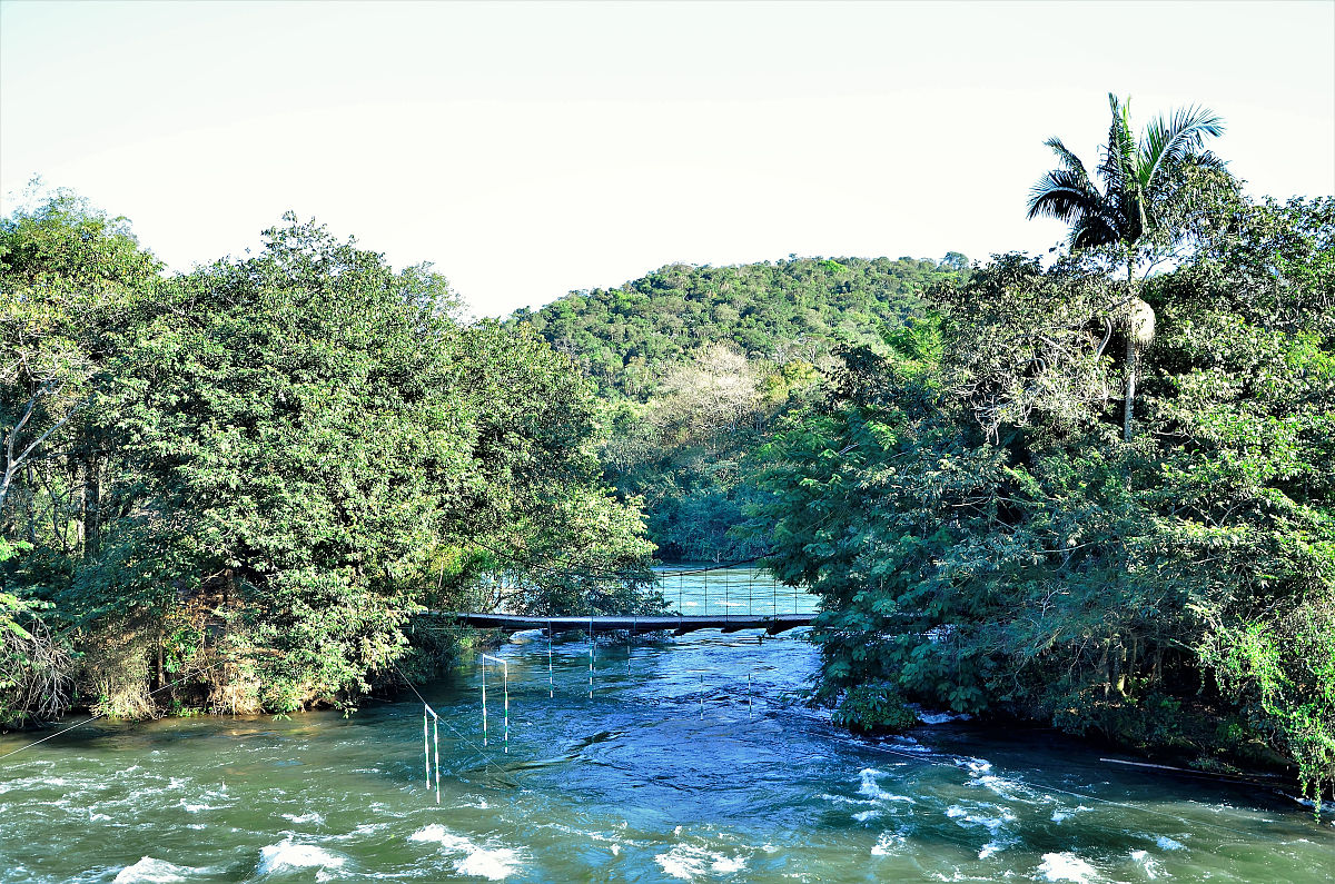 参考2022年版艺术课程标准优秀的人音版六年级下册 DO RE MI 歌唱课的公开课教学设计