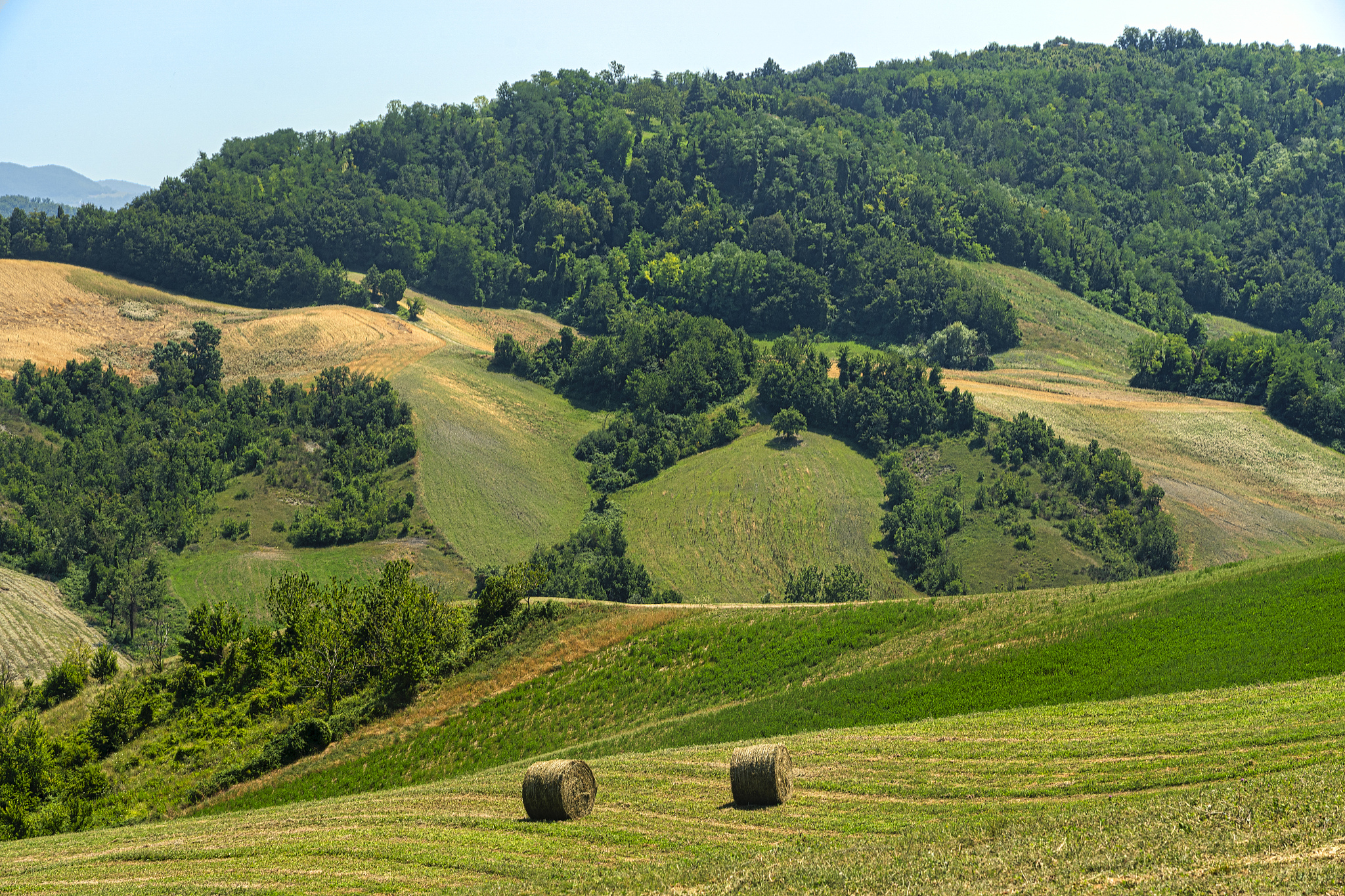 rural landscape at rivalta di lesignano bagni, emilia-romagna