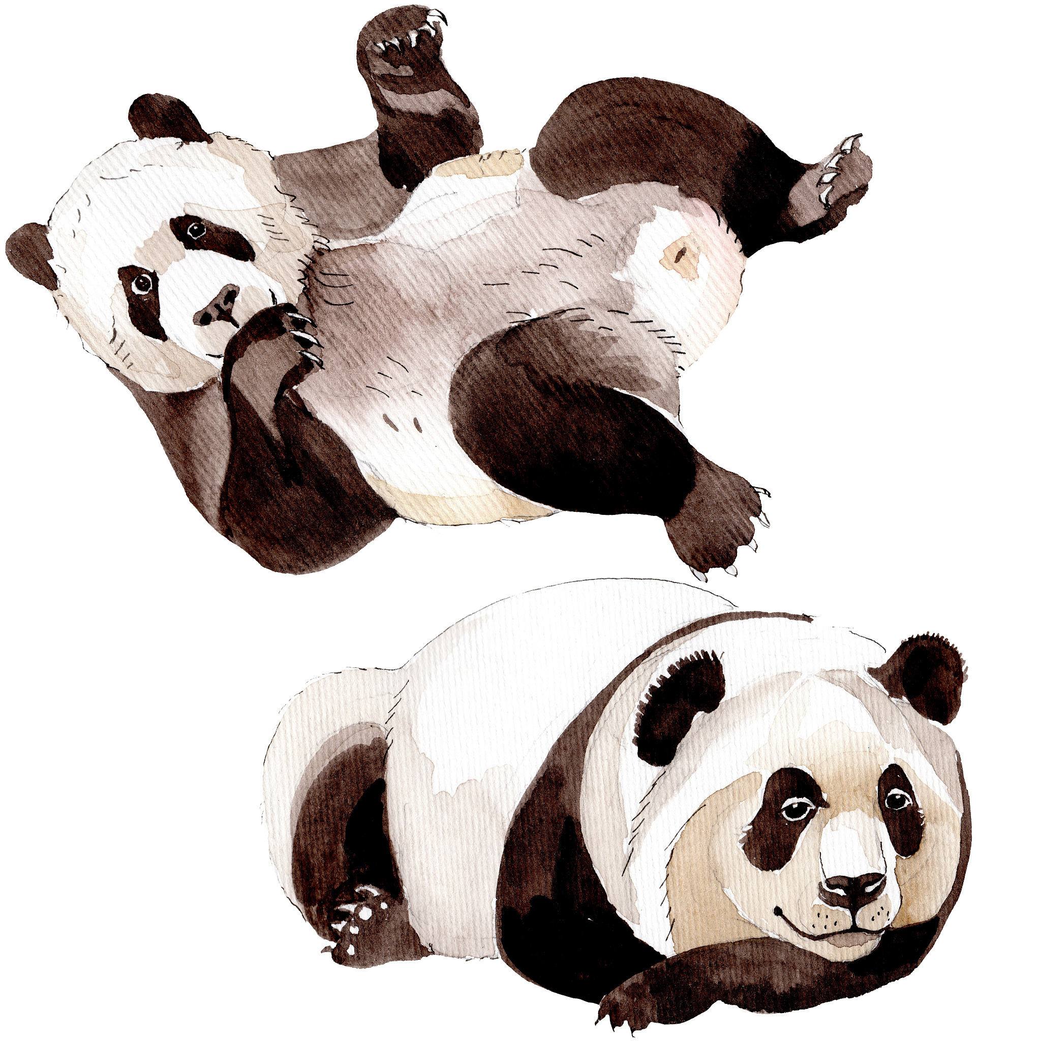 panda3d设置模型颜色