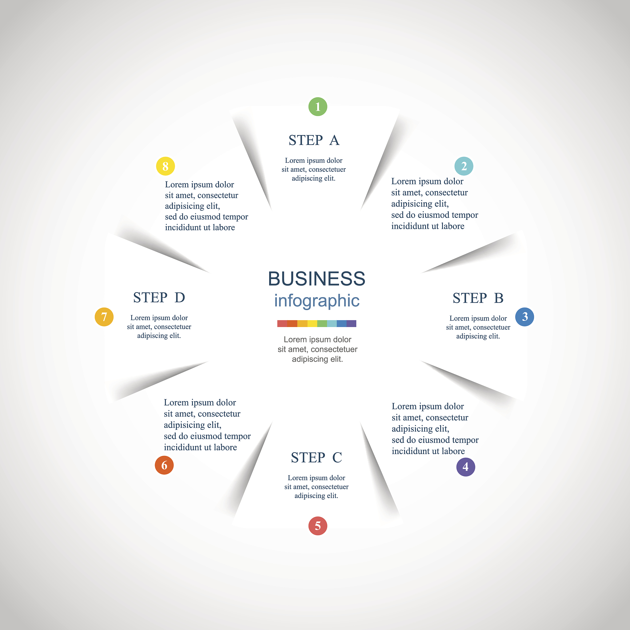 vector infographic