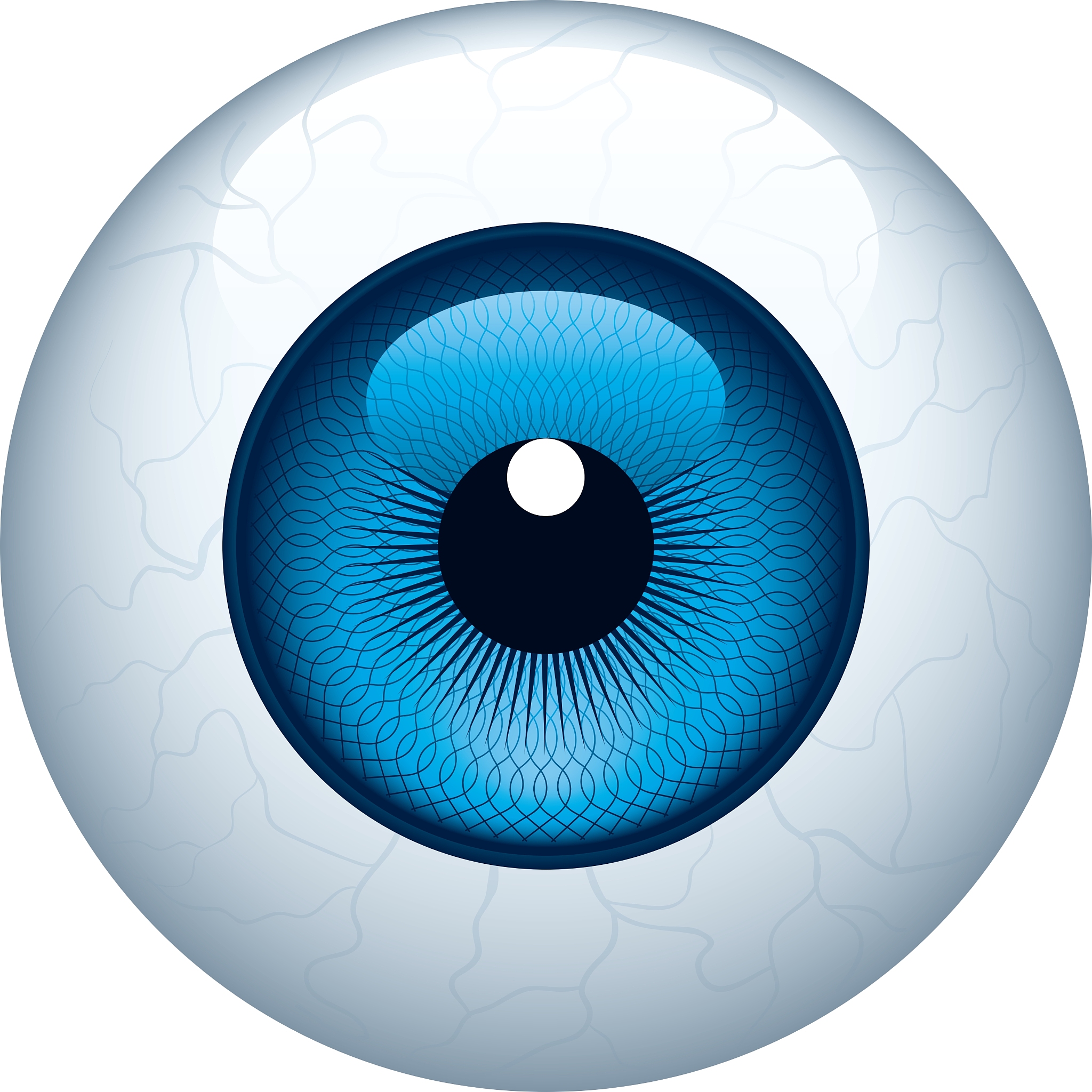 eyeball