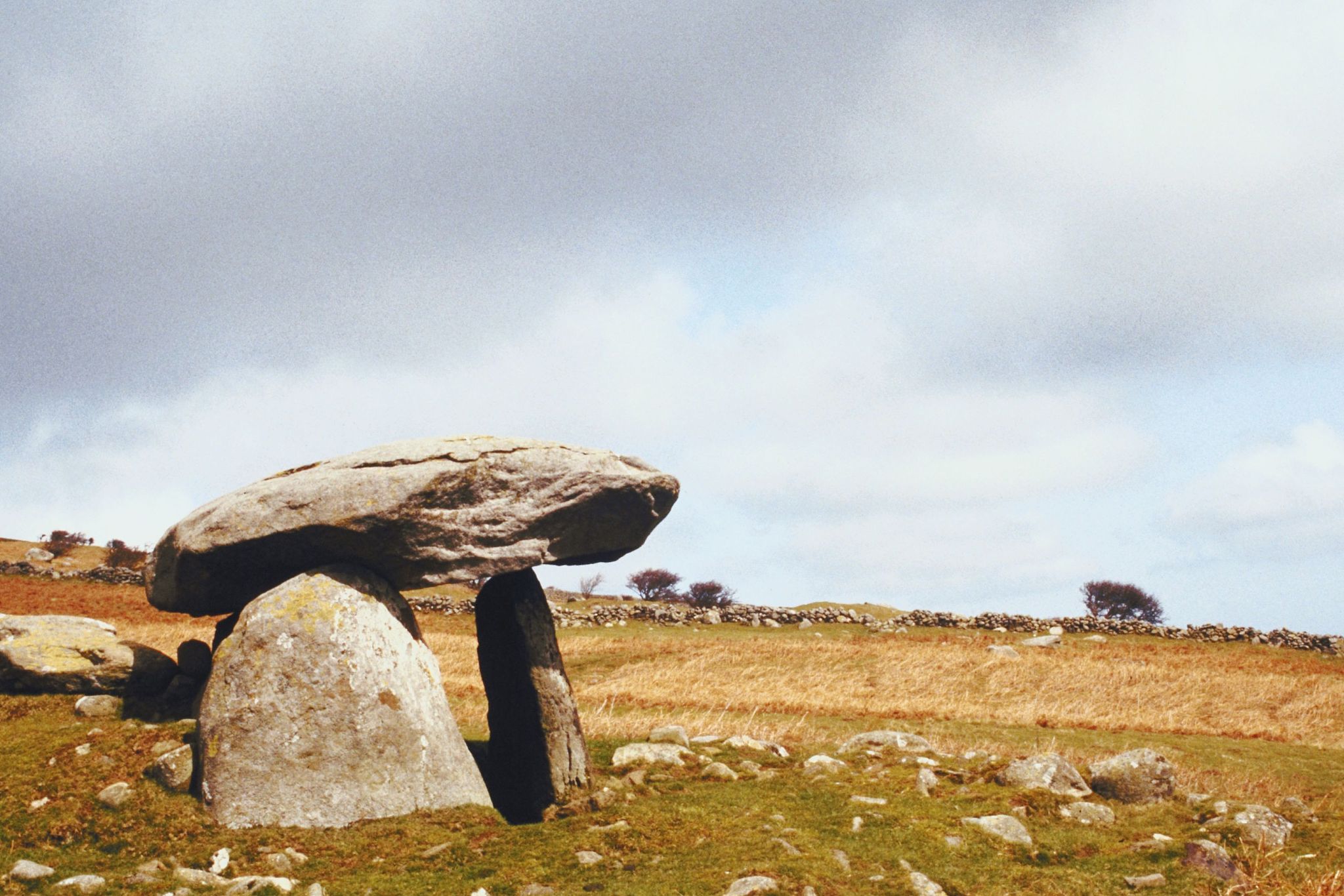 以下面的文章为基础谈谈这个文章内容能带给我们什么样的启发 文章内容为：在《这是一片神奇的土地中》作者站在生命和历史的高度描写一群大地之子的希望与追求痛苦与快乐精神上的贫乏和富有等等。以悲剧为主却在悲剧中注入阳刚让读者佩服主人公们无畏的精神同情他们所遭受的痛苦。四个人物三人死于非命可谓悲剧色彩浓厚他们的死并没有带来悲哀的赞歌而是高扬崇高的阳刚。《土地》中既表现了知识青年们对理想的狂热和盲目追求同时
