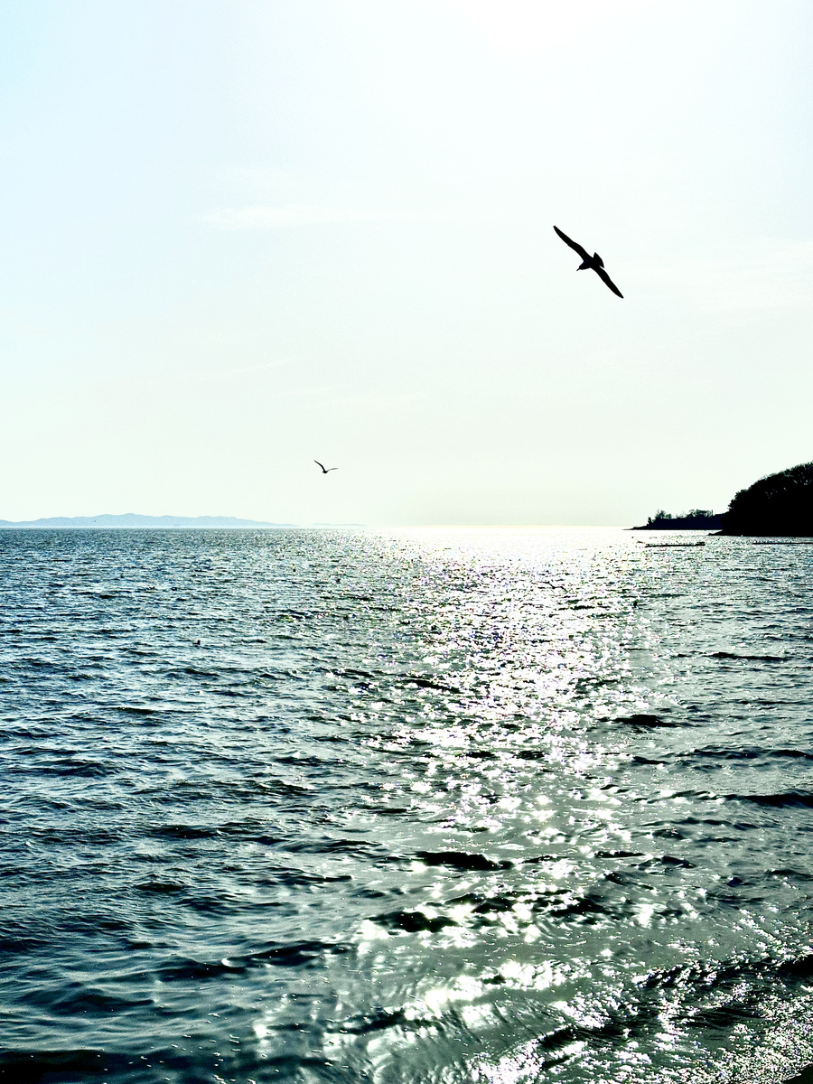 描写一段在船上看大海的场景