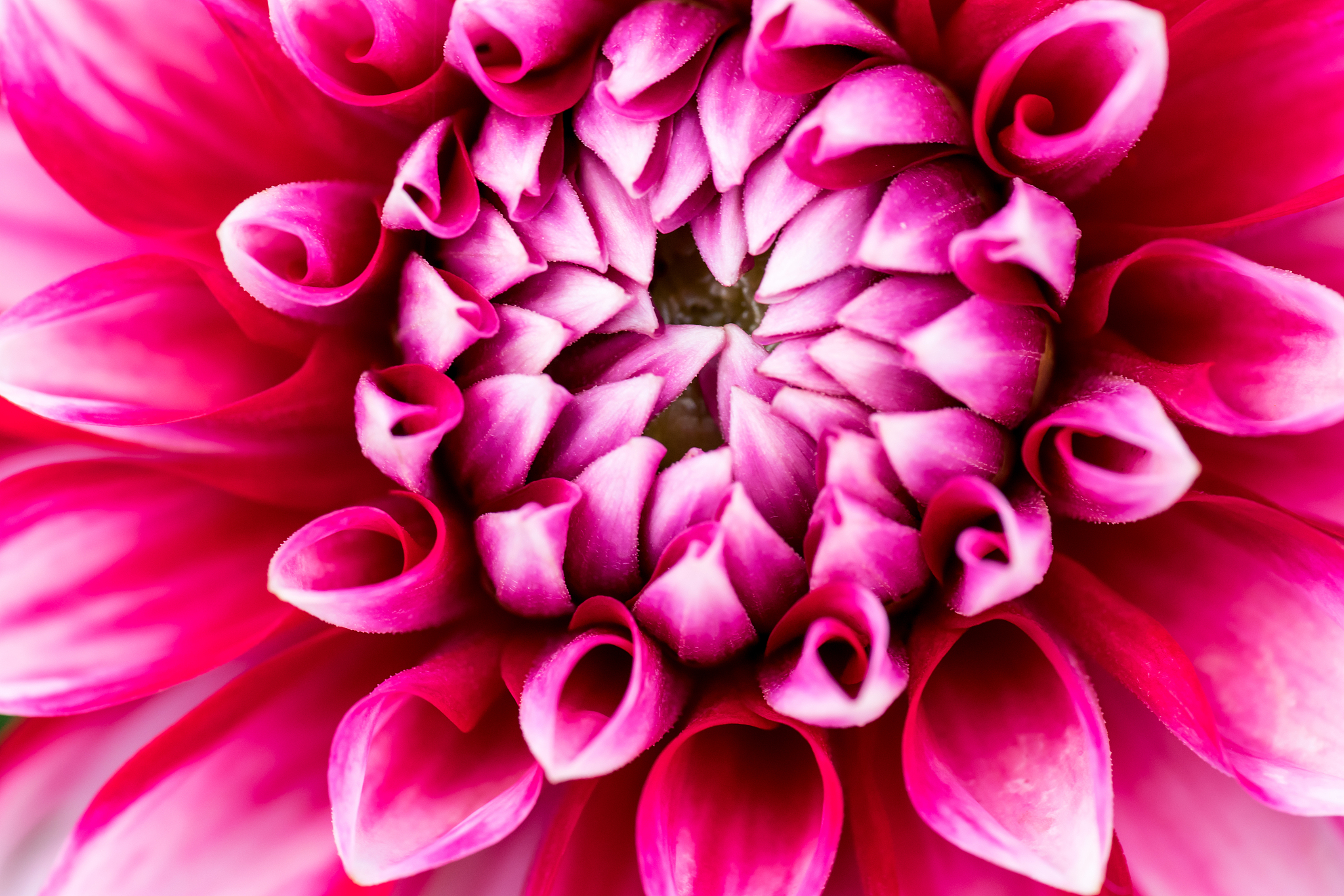 根号下 x/a + 根号下 y/b = 1 的函数类型