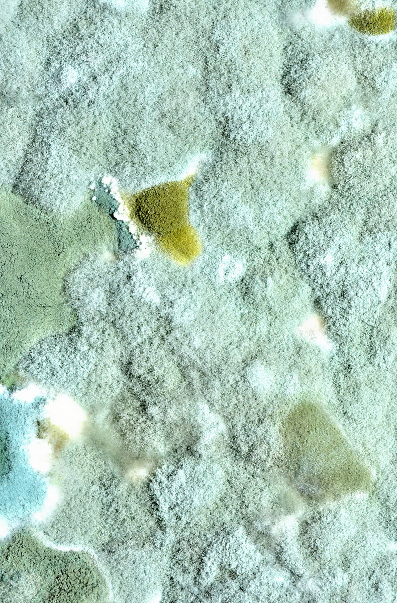 陕西三和职业中等专业学校2021年招生专业都有哪些