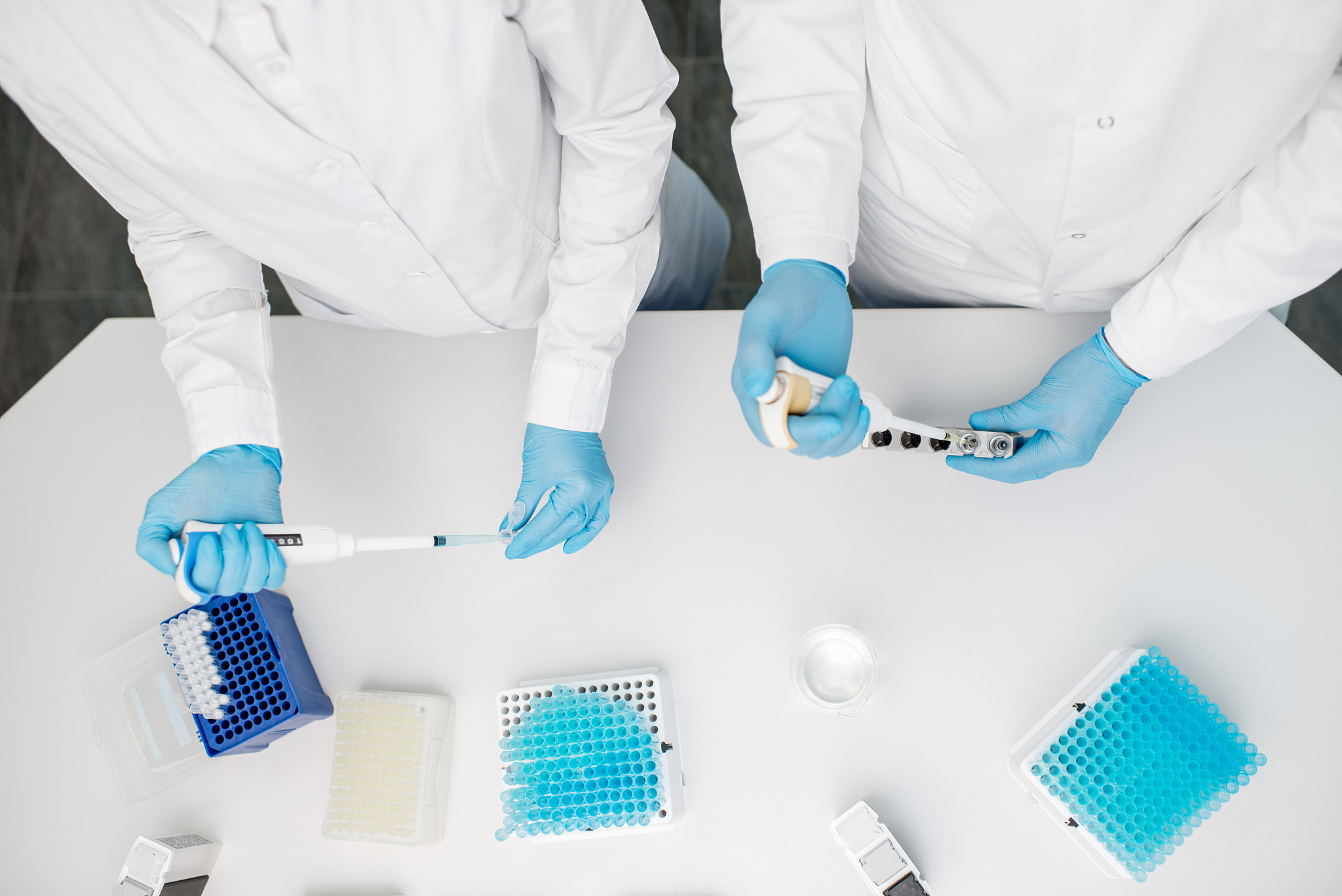 working with test tubes at the laboratory