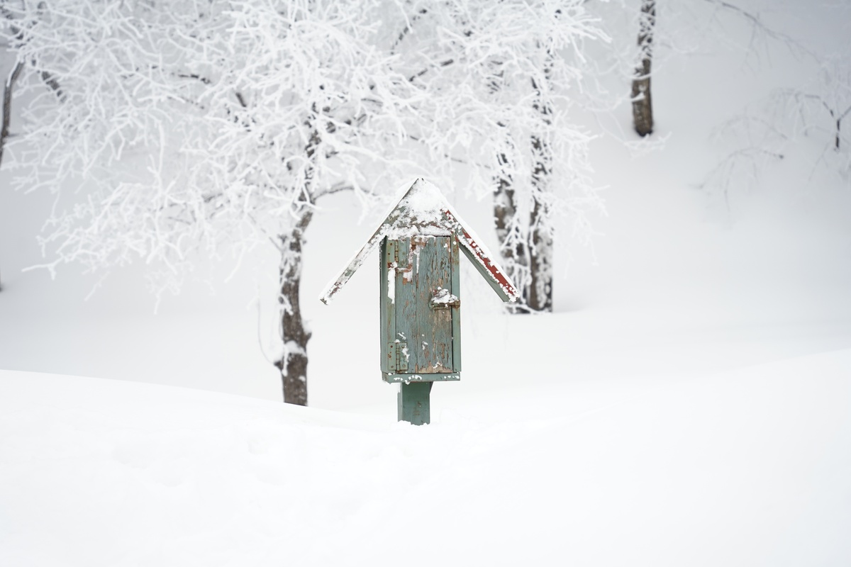 形容大雪下的非常大渲染悲伤的气氛的文章