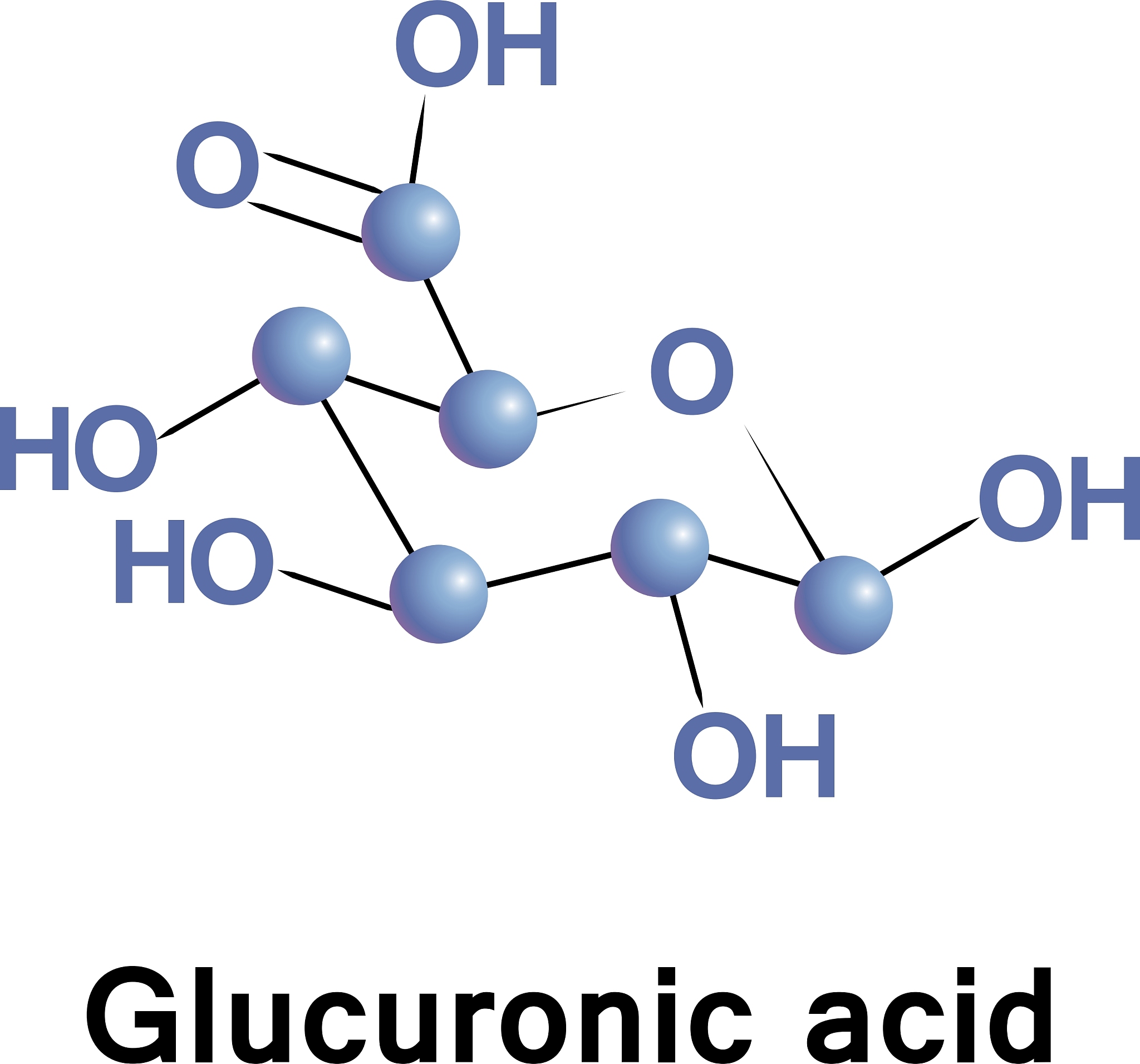 Tyrosinase Enzyme Structure: A Comprehensive Overview with References