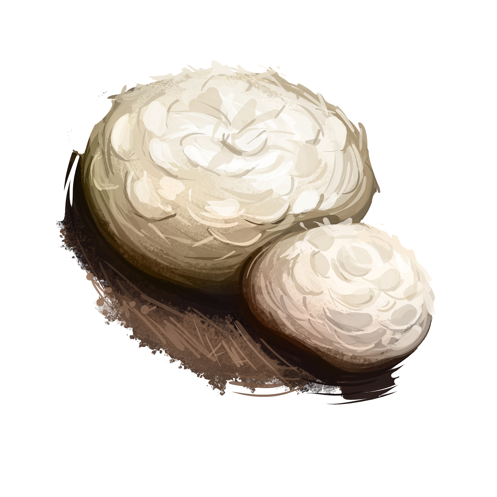 Change the sentence LNT is a neutral polysaccharide extracted from the fruiting body of Lentinus edodes It consists of a -1→3-linked backbone of d-glucose residues to which two -1→6-d-glucosyl residu