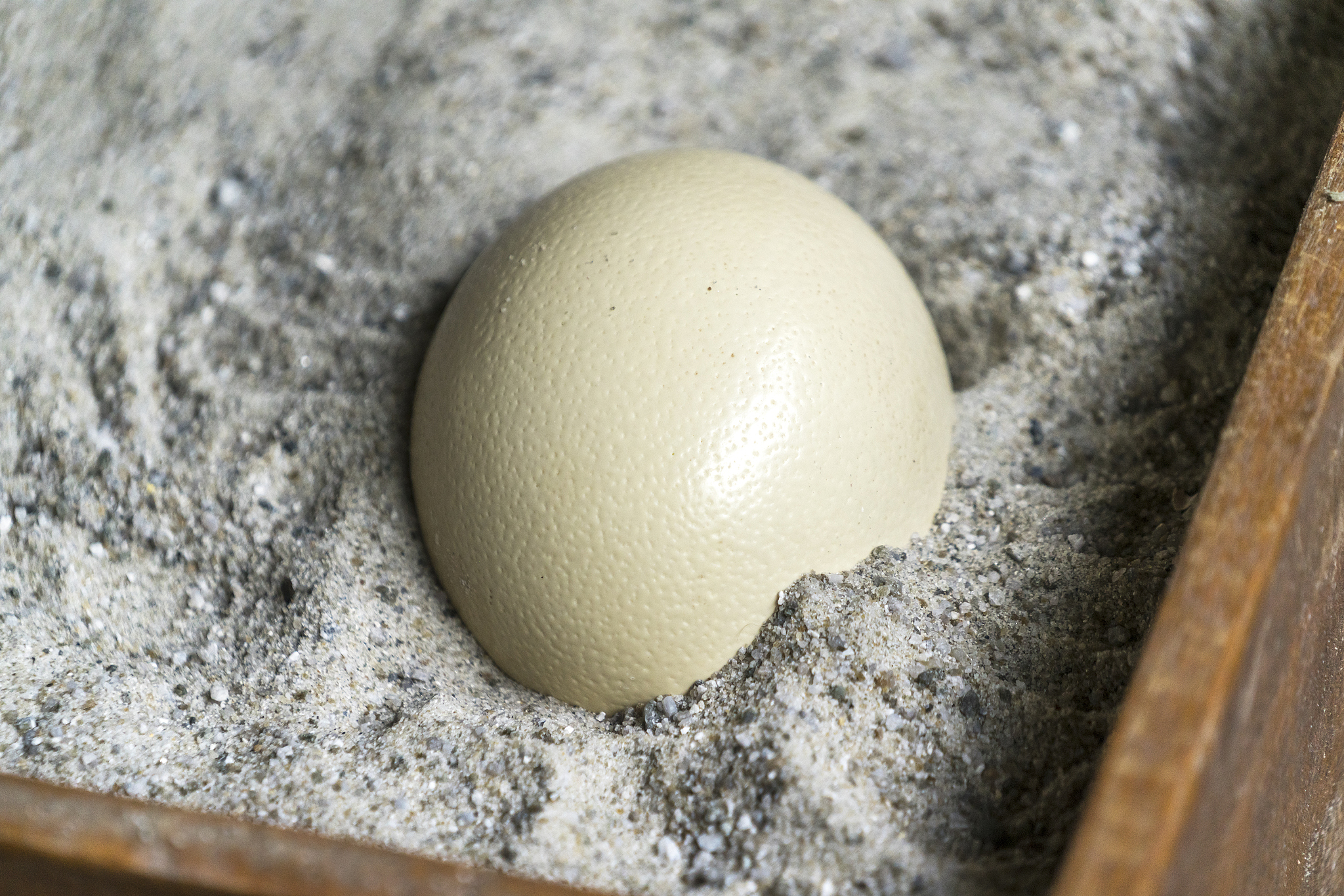 鸭蛋发霉还能吃吗？教你辨别安全食用方法