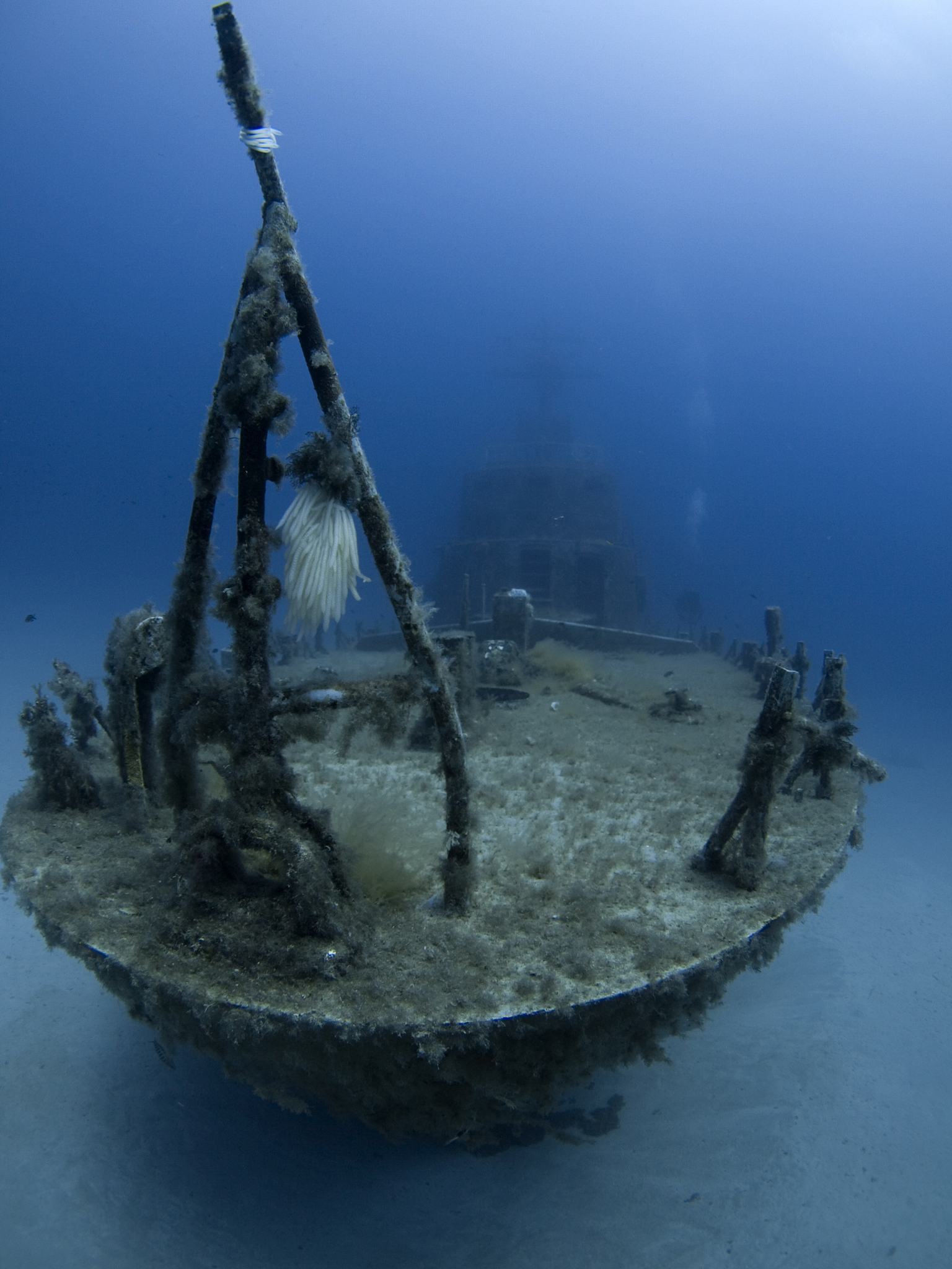 shipwreck in malta