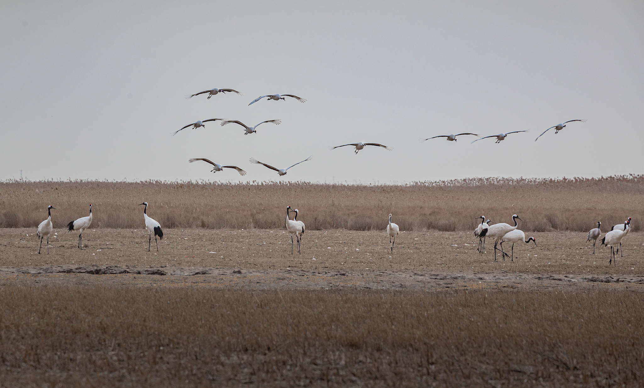 盐城媒体曝光求助热线：为你排忧解难的‘黄金电话’