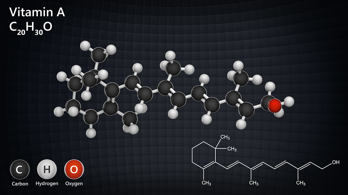 维生素A在人体内的代谢过程 - 吸收、利用和排泄
