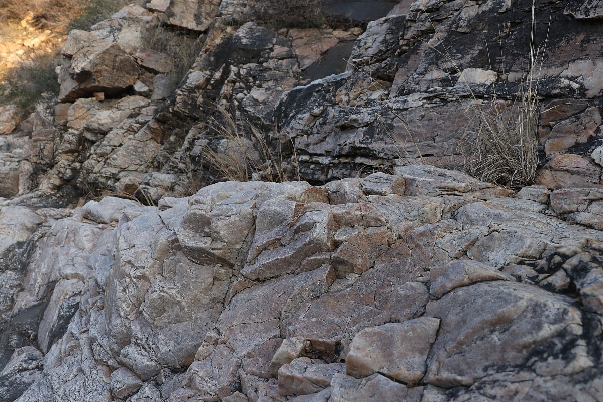 武夷山为什么土壤是酸性的