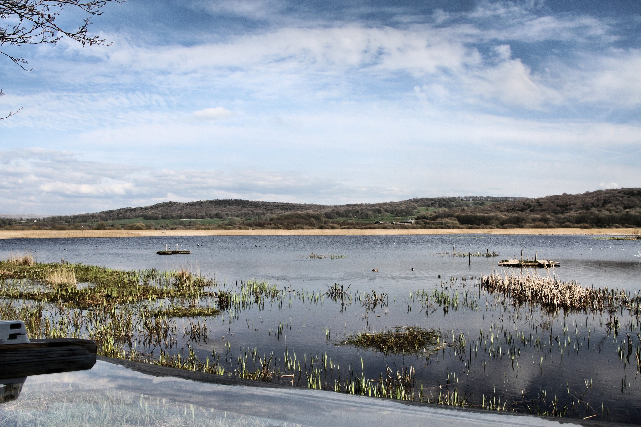 a picture of leighton moss nature reserve