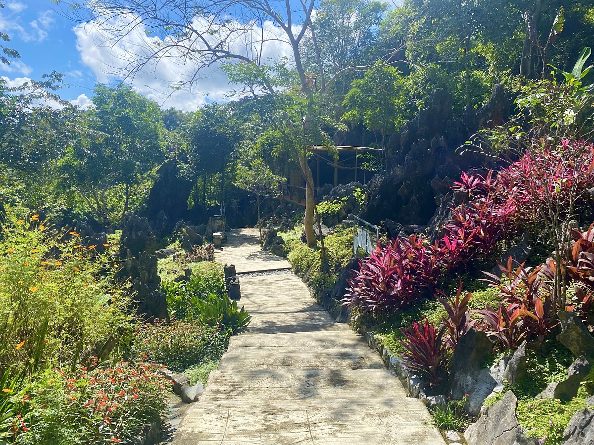以独自去深圳仙湖植物园旅游是怎样的体验？为题写一篇1200字文章重新编写标题
