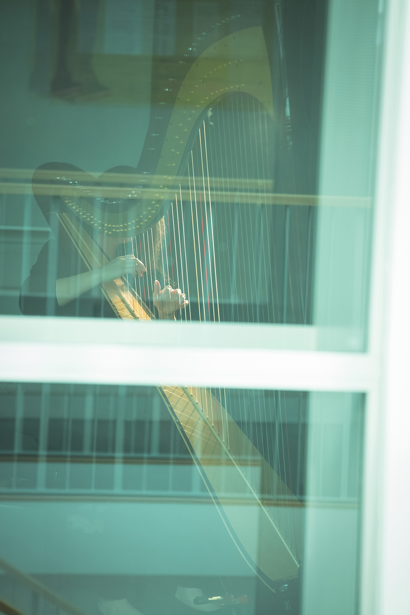 woman playing a harp in music school