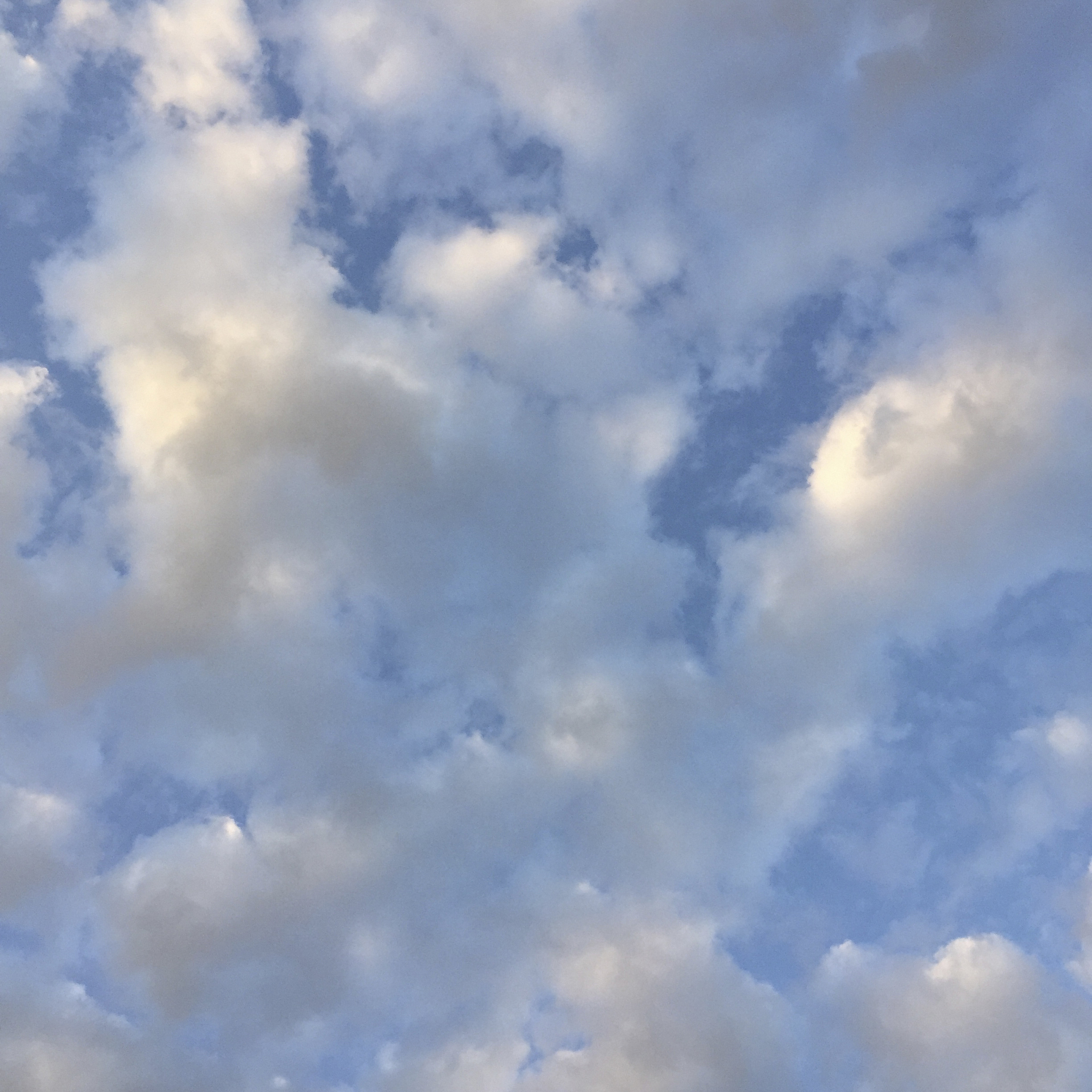 blue sky with white clouds