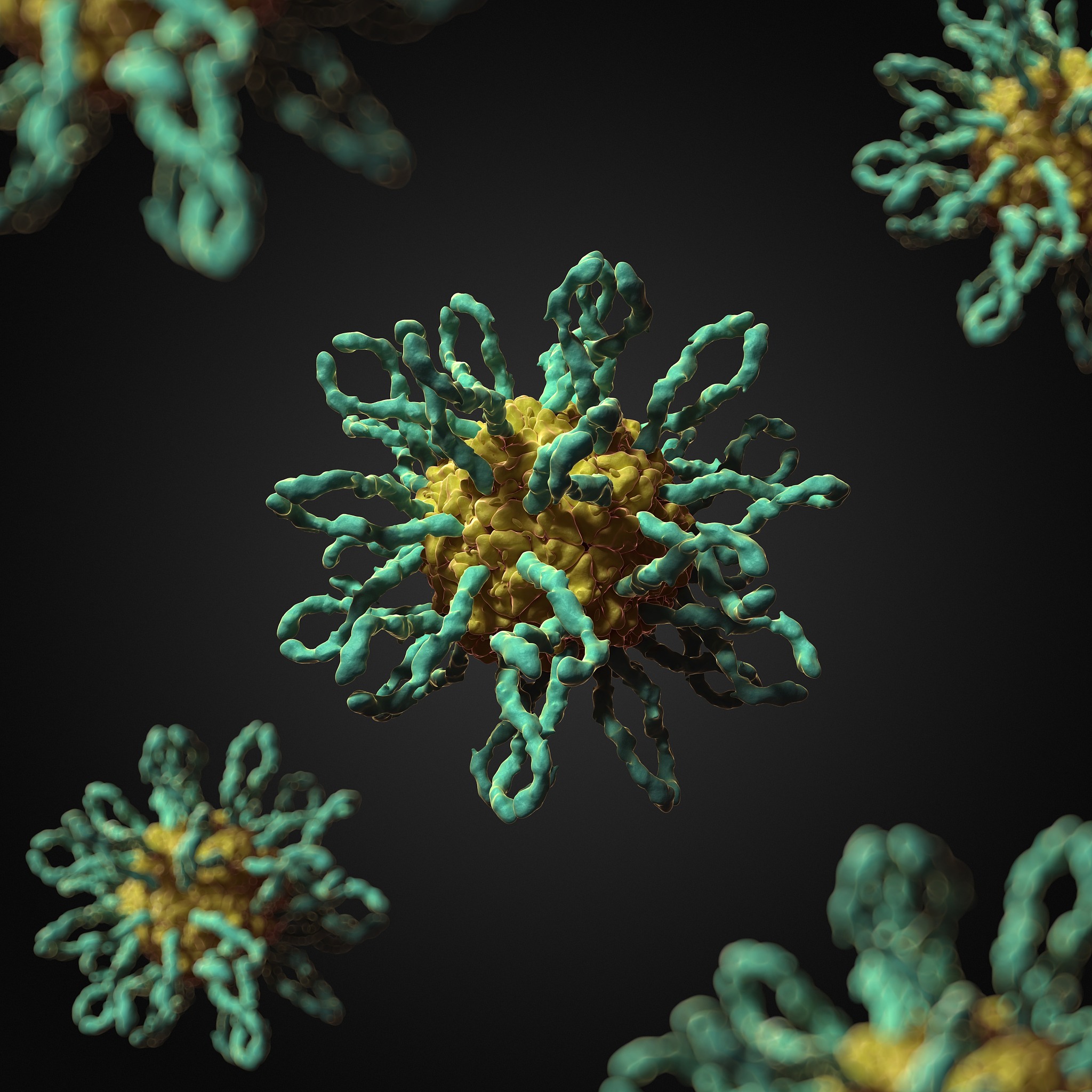 Microbiology Spectrum期刊详细介绍