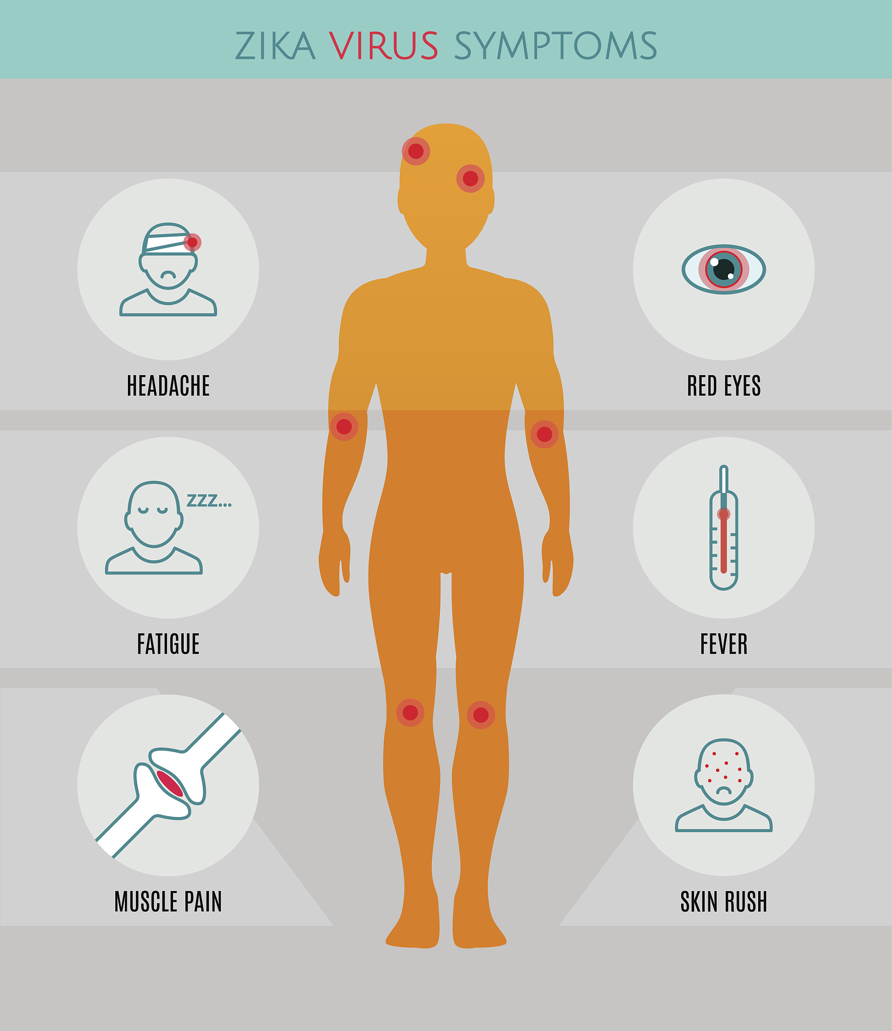蚊媒传播病毒疫情的传播潜力受气候影响：登革热、寨卡病毒和基孔肯雅热研究