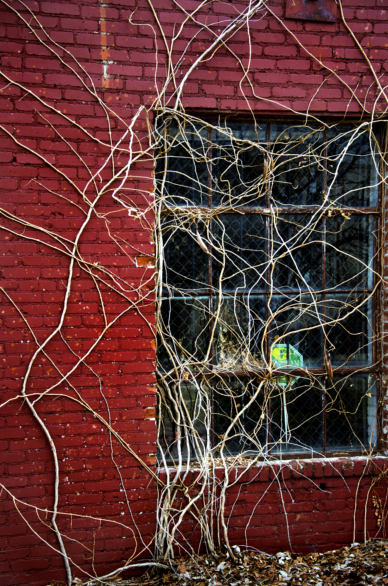 漫威暗夜之子：绞刑树位置指南 - 第二章森林地图