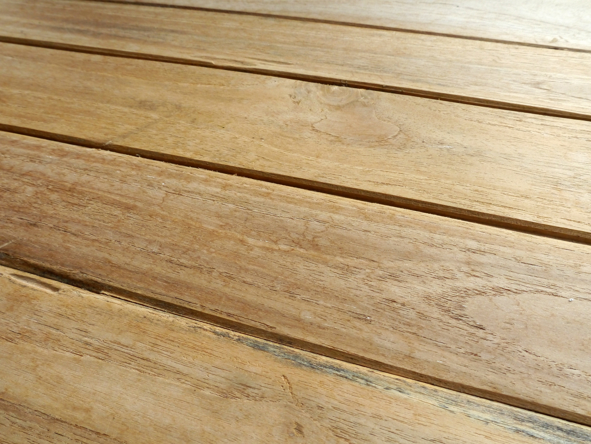 以下这段话用另一种方式表达：模板面板不得污染磕碰；胶合板面板切口处必须涂刷两遍封边漆避免因吸水翘曲变形；螺栓孔眼必须有保护垫圈