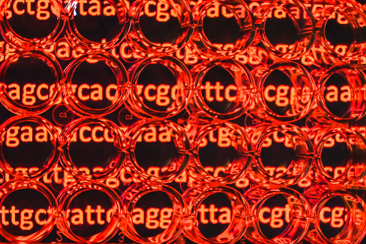 玉米杂交育种研究进展与未来展望