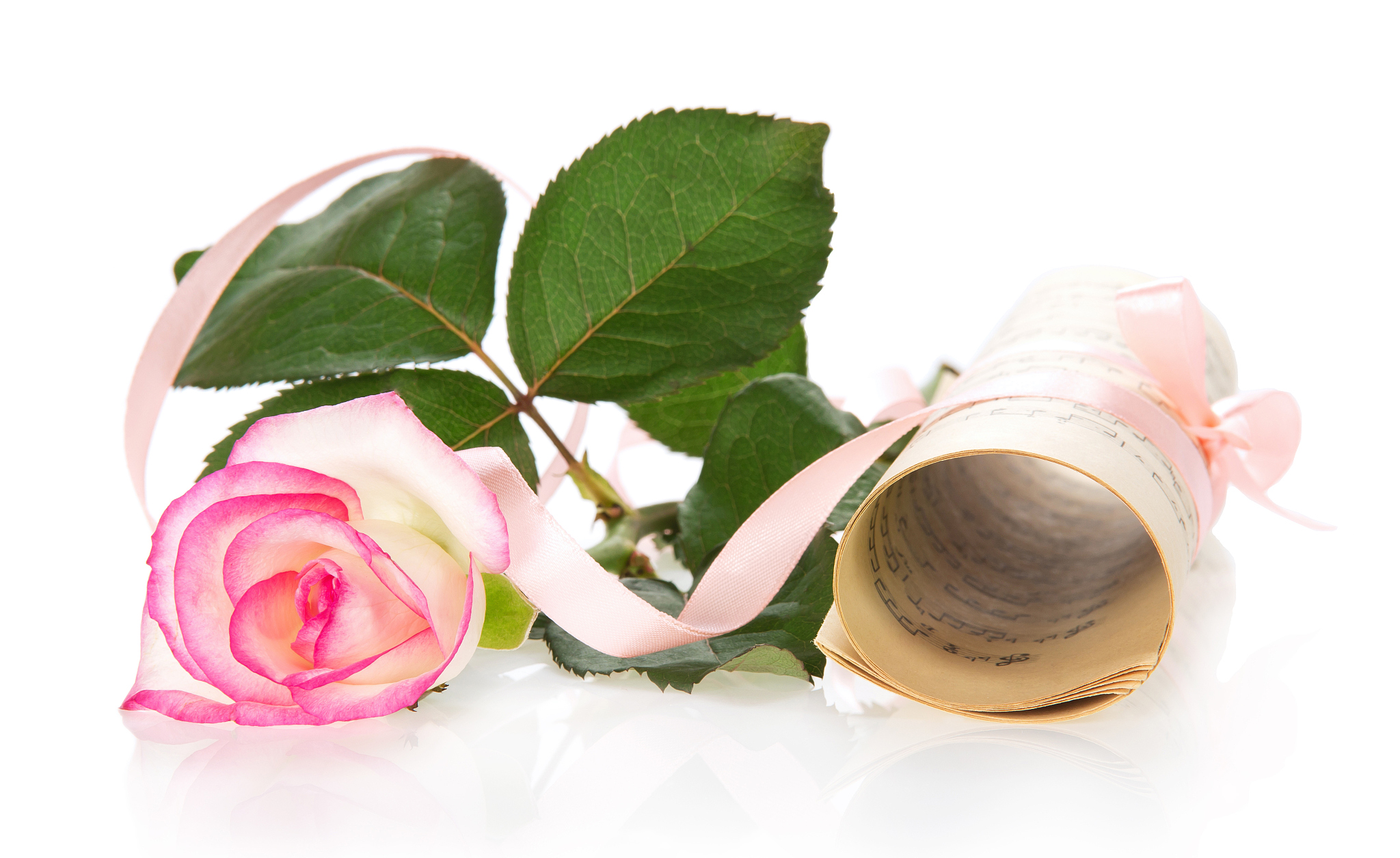 动漫女孩：白色长裙、黑发与玫瑰花海的浪漫邂逅