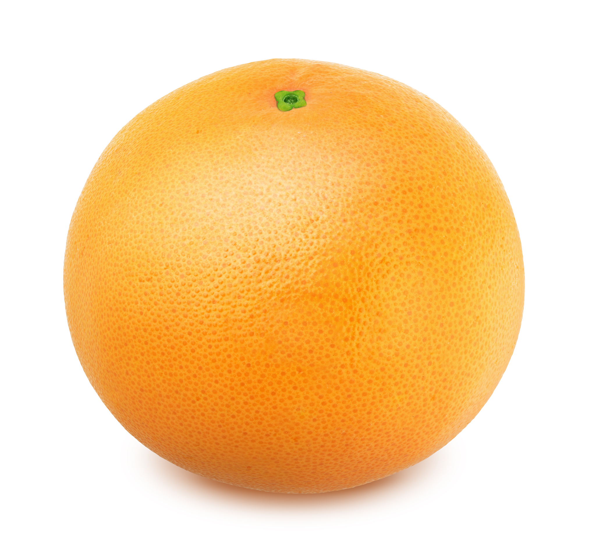 维生素B过量服用症状：风险、症状及注意事项 - [网站名称]