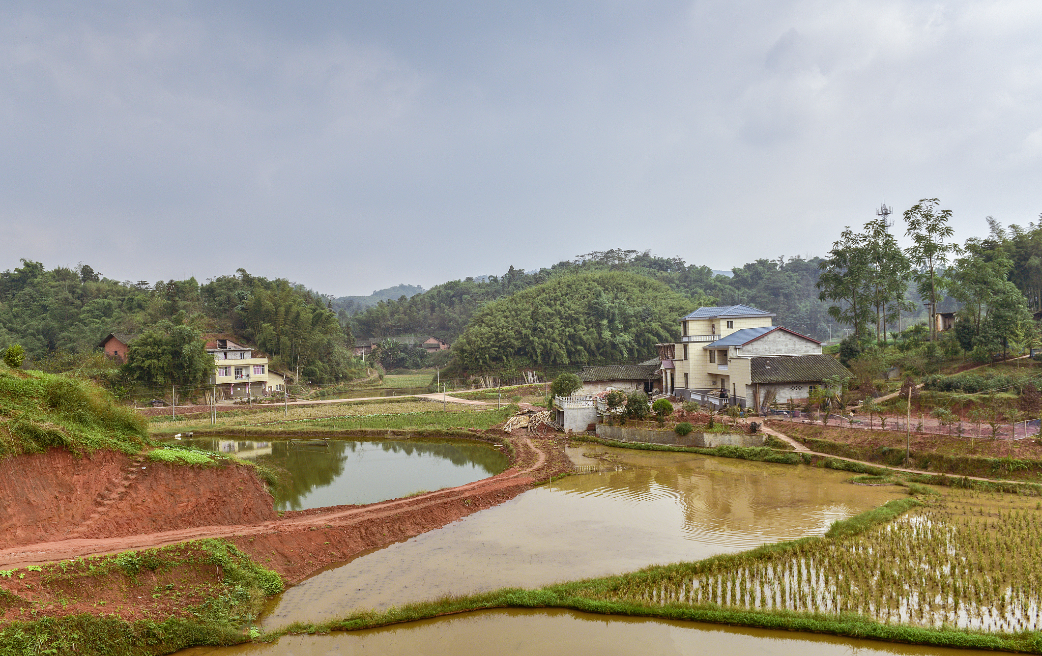 研究那马镇坛良村乡村振兴的项目研究思路