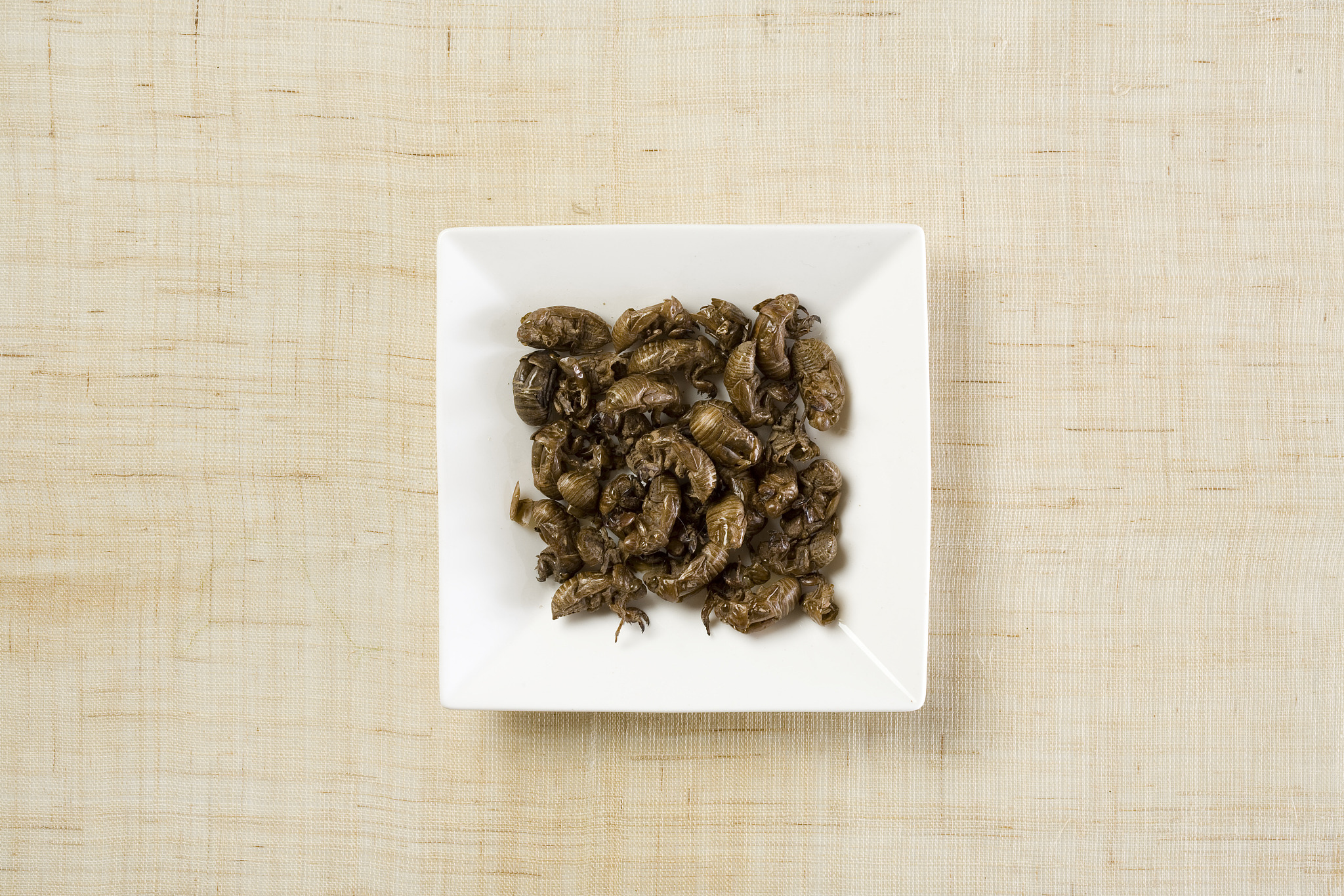 成都中医职高学院排名及特色专业解读