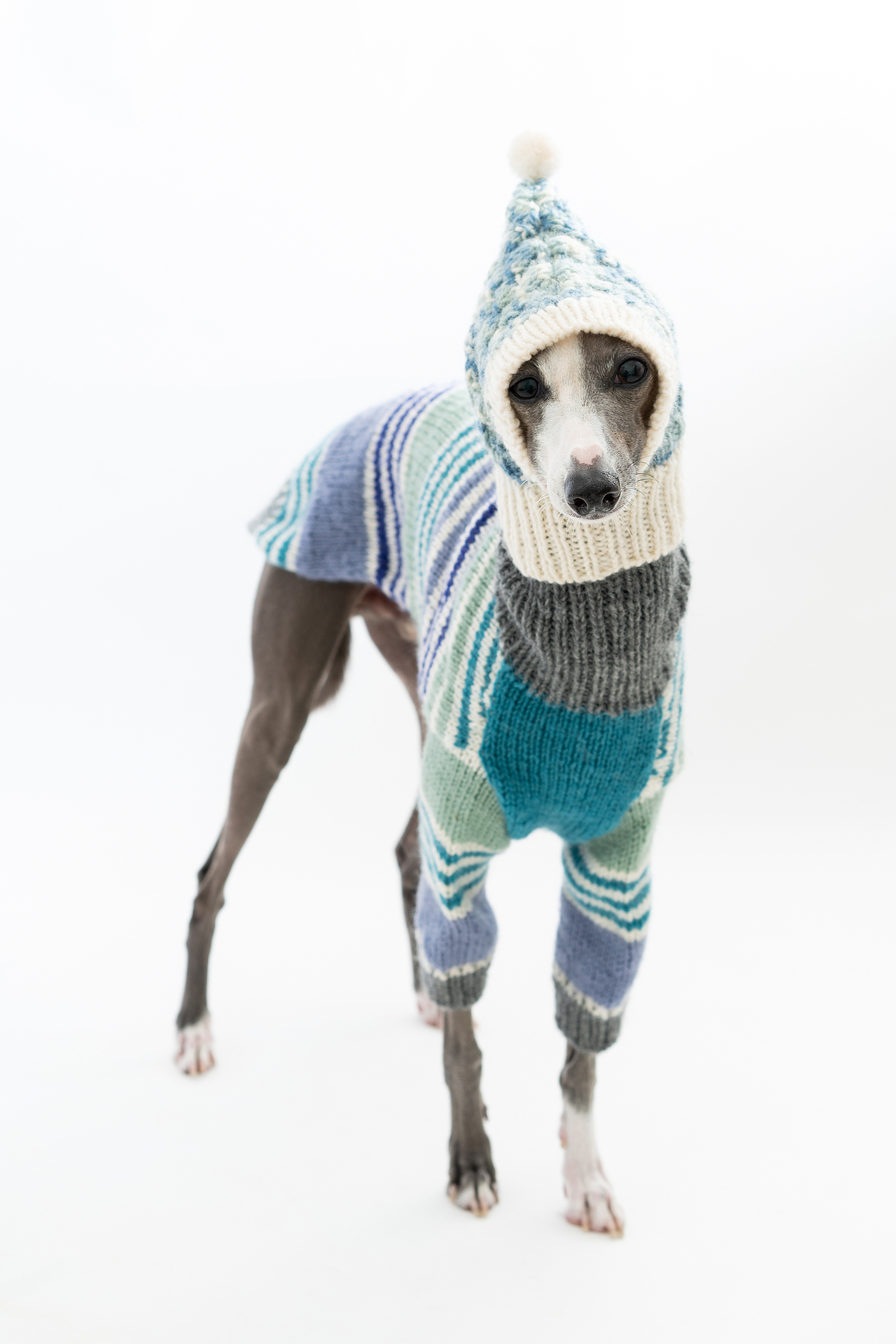 Cozy & Stylish: Premium Dog Sweaters for Warmth & Comfort